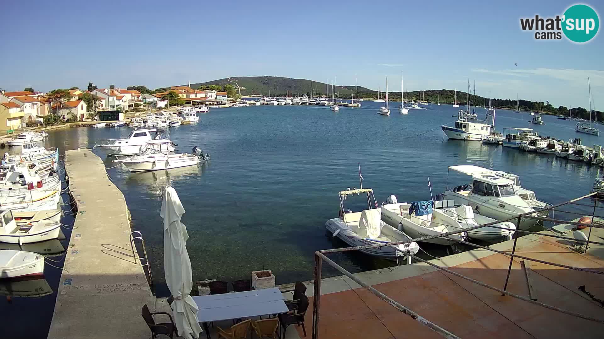 Livecam Asinello – San Piero