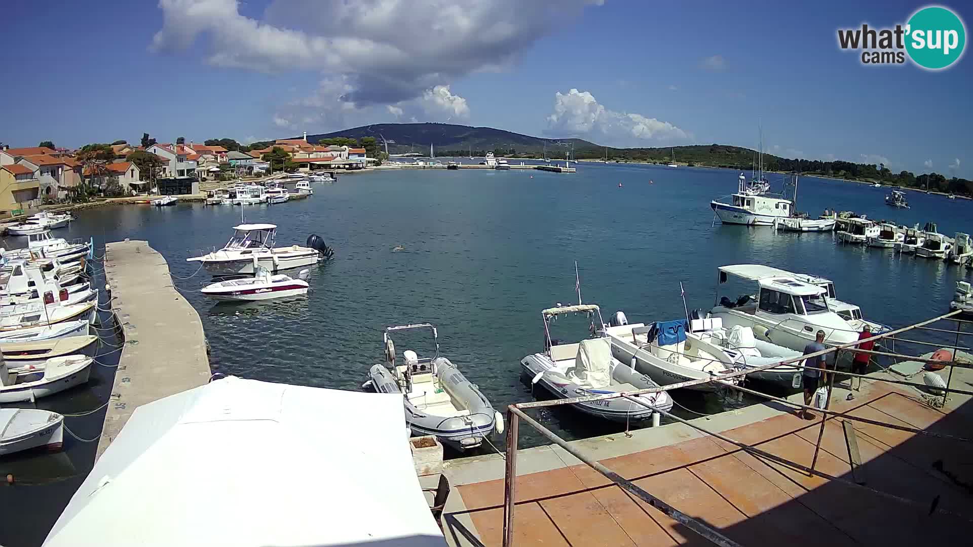 Camera en vivo Ilovik – Sveti Petar