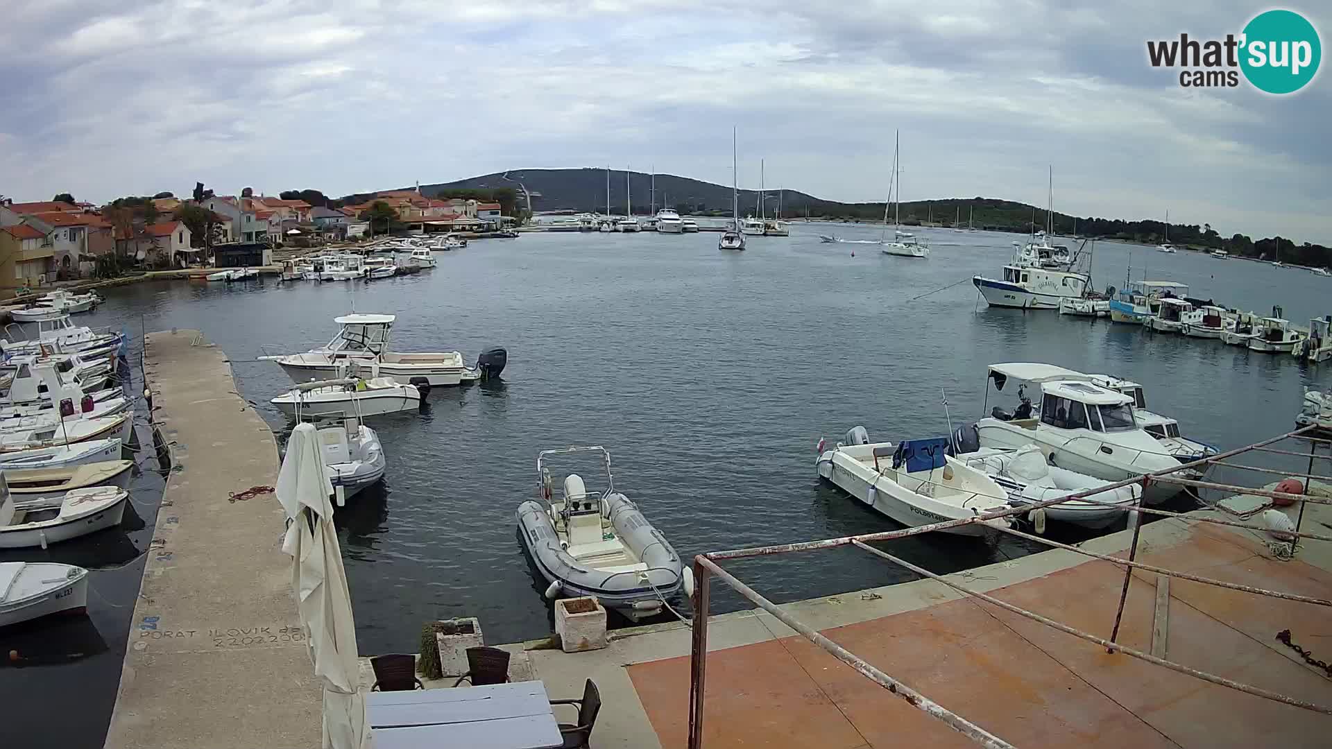 Livecam Asinello – San Piero