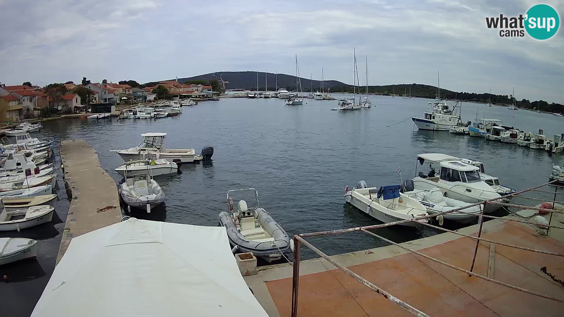 Livecam Asinello – San Piero