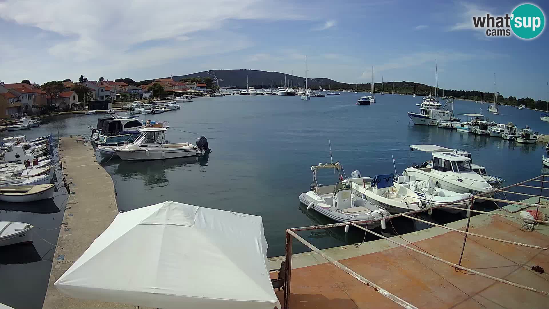 Livecam Asinello – San Piero