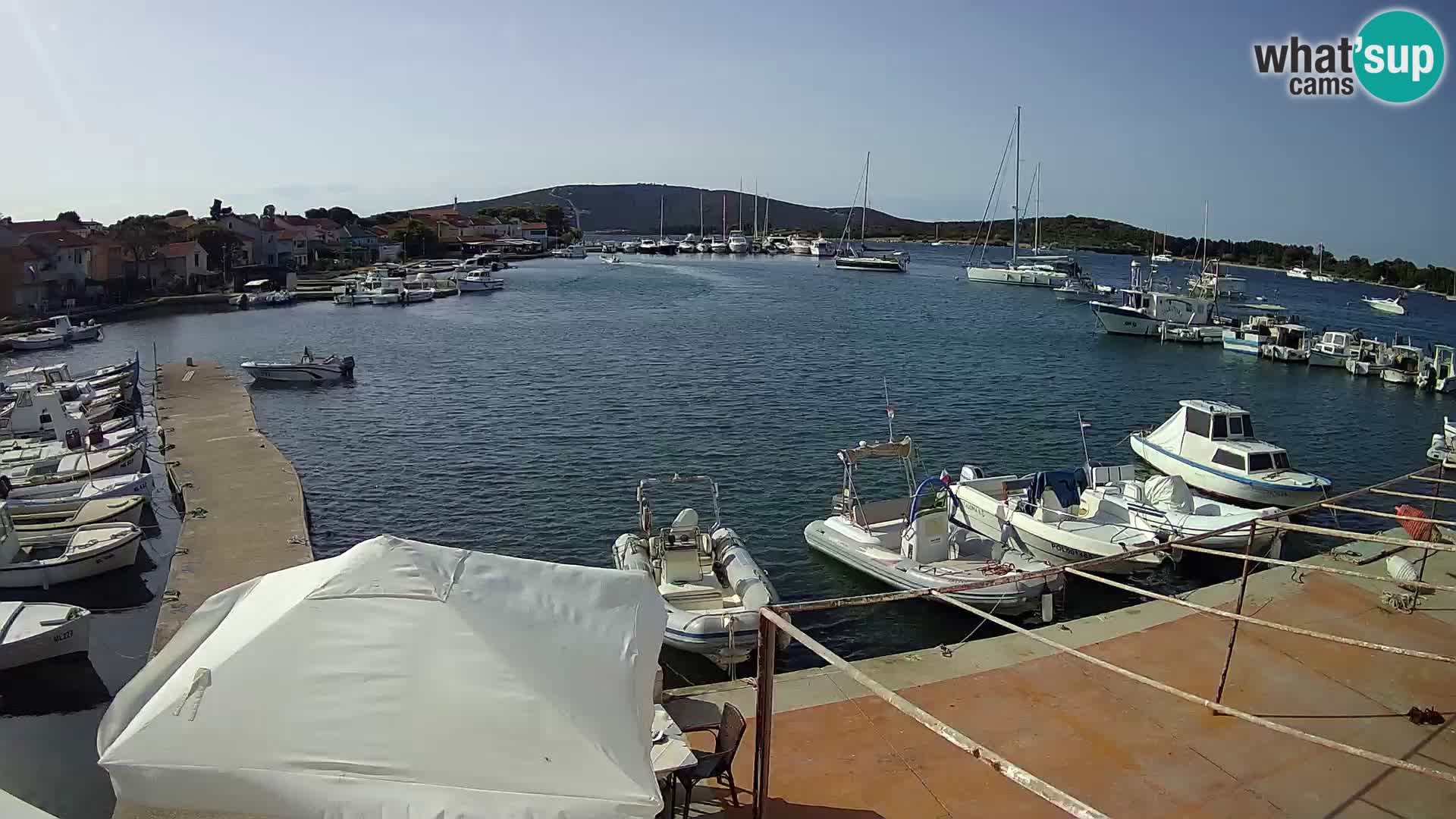 Livecam Asinello – San Piero