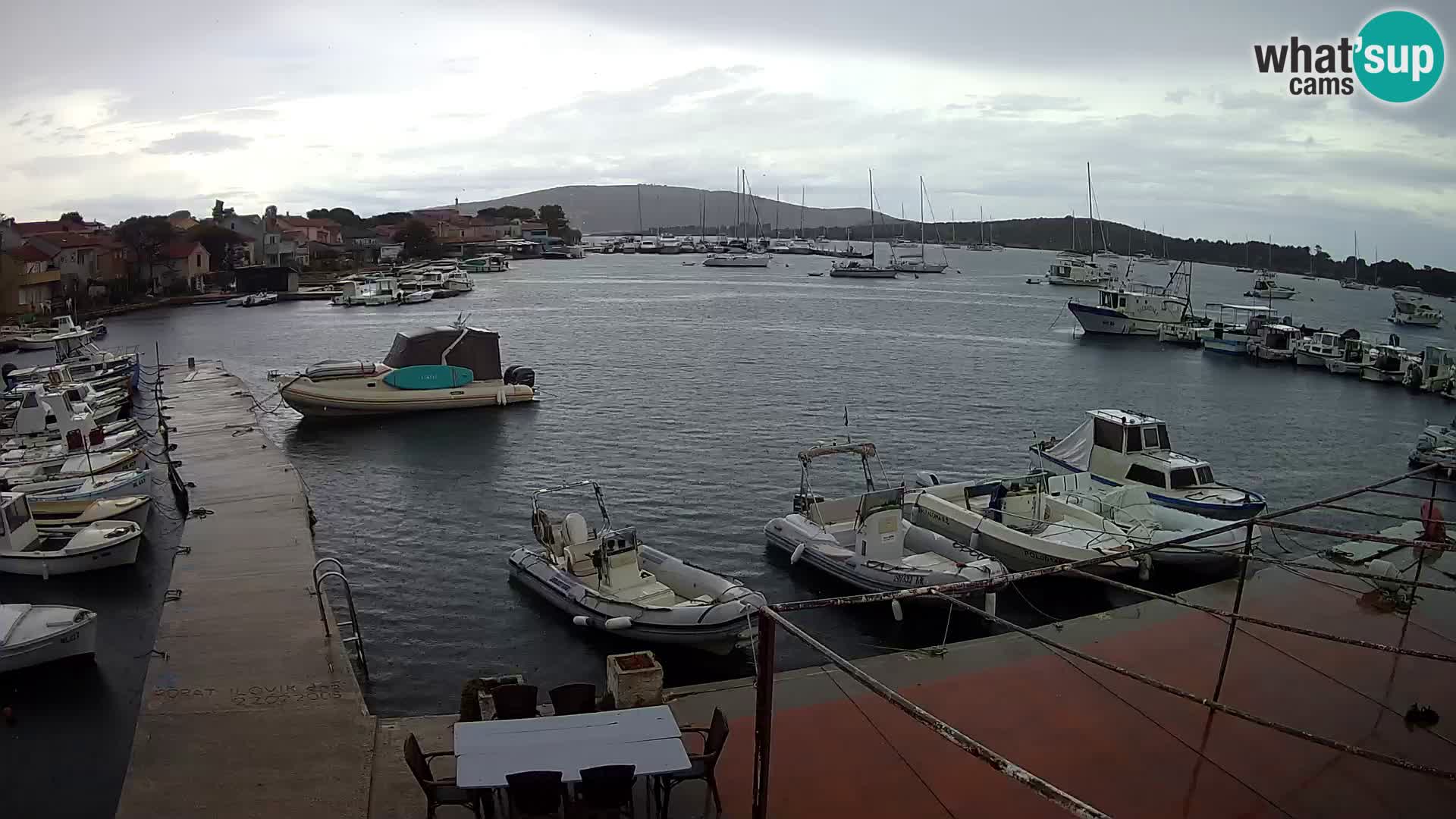 Livecam Asinello – San Piero