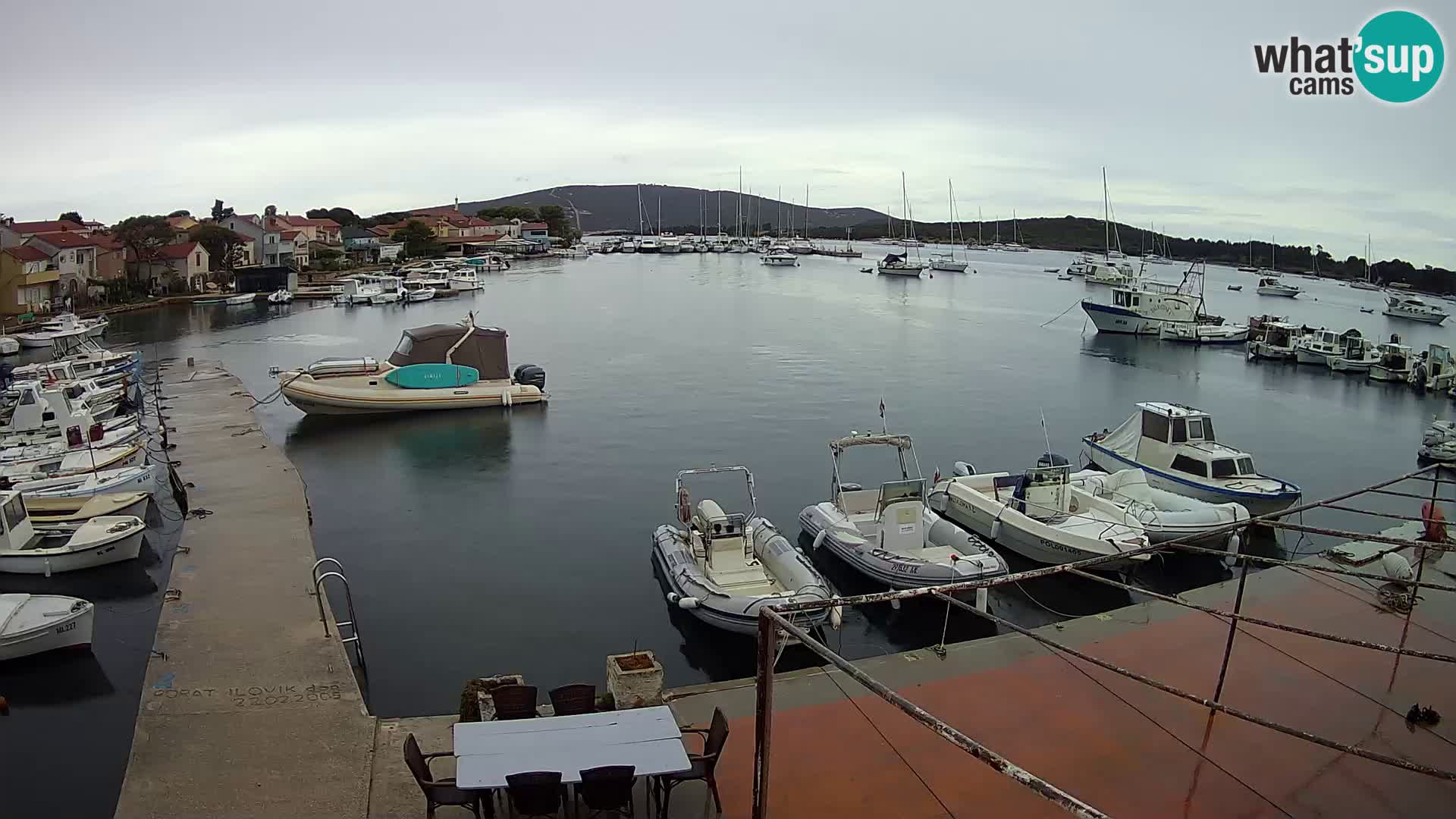 Livecam Asinello – San Piero