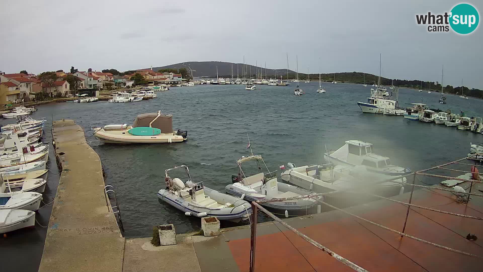 Livecam Asinello – San Piero