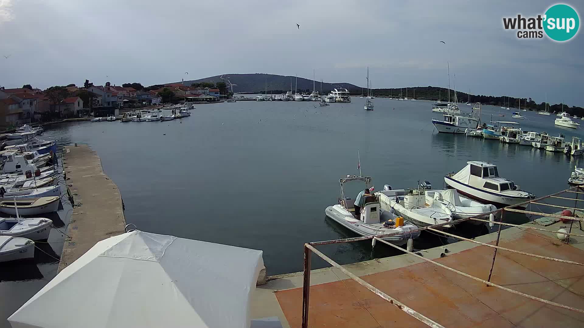 Live cam Ilovik – Sveti Petar