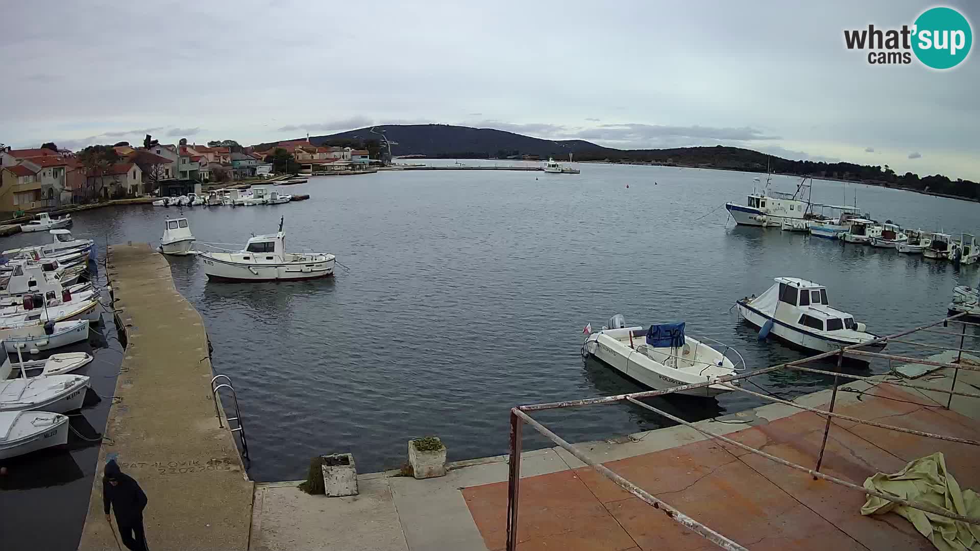 Kamera v živo Ilovik – Sveti Peter