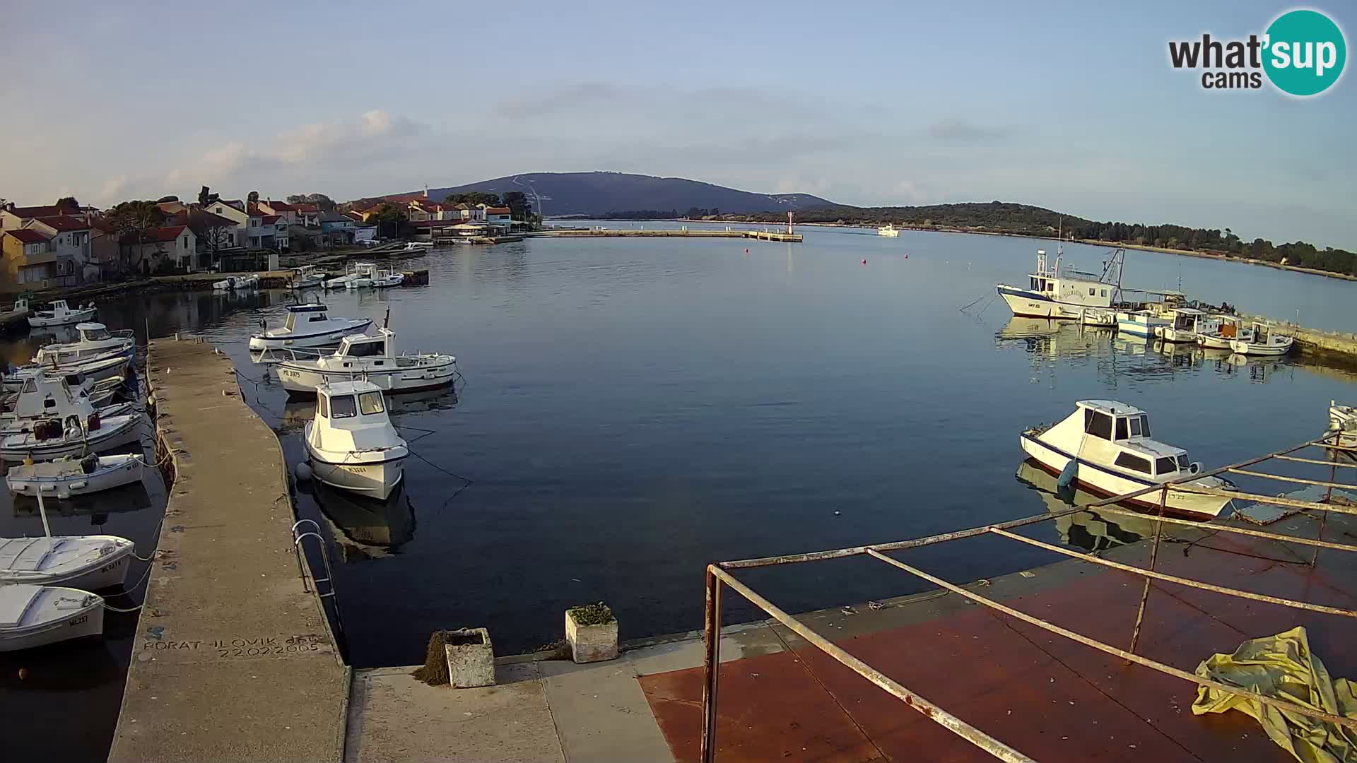 Livecam Asinello – San Piero