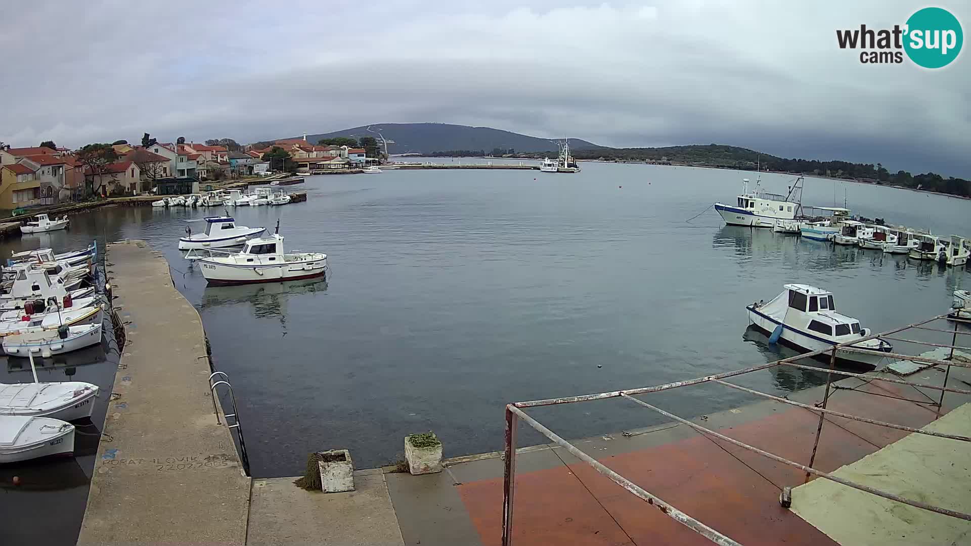 Camera en vivo Ilovik – Sveti Petar