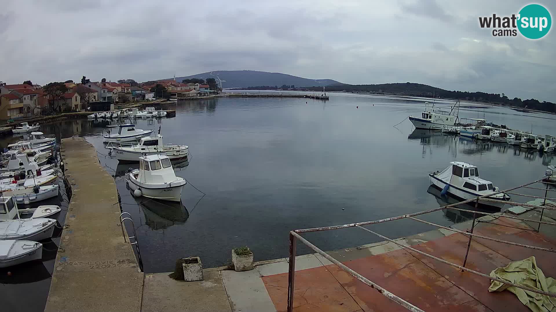 Kamera v živo Ilovik – Sveti Peter