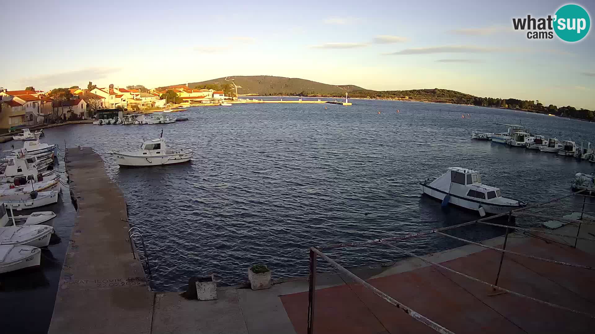 Livecam Asinello – San Piero