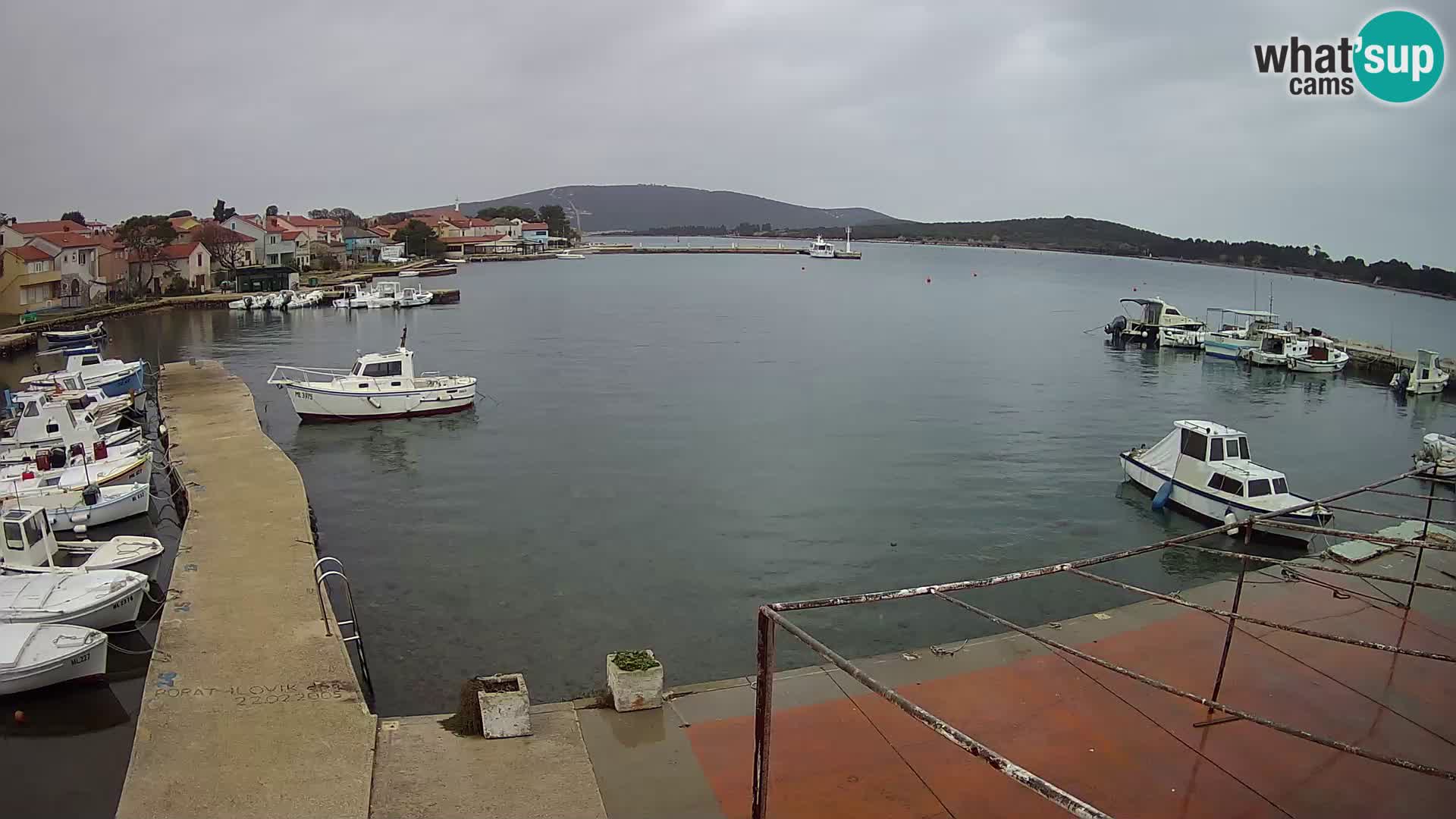 Camera en vivo Ilovik – Sveti Petar