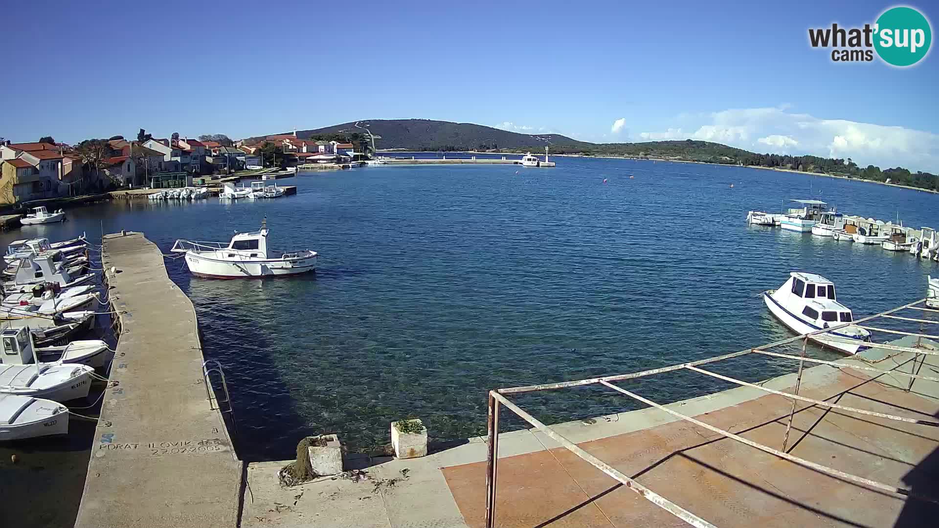Livecam Asinello – San Piero