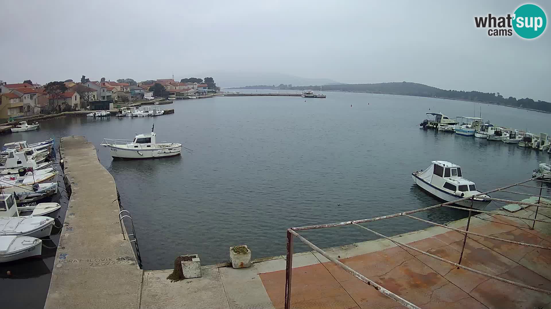 Livecam Asinello – San Piero