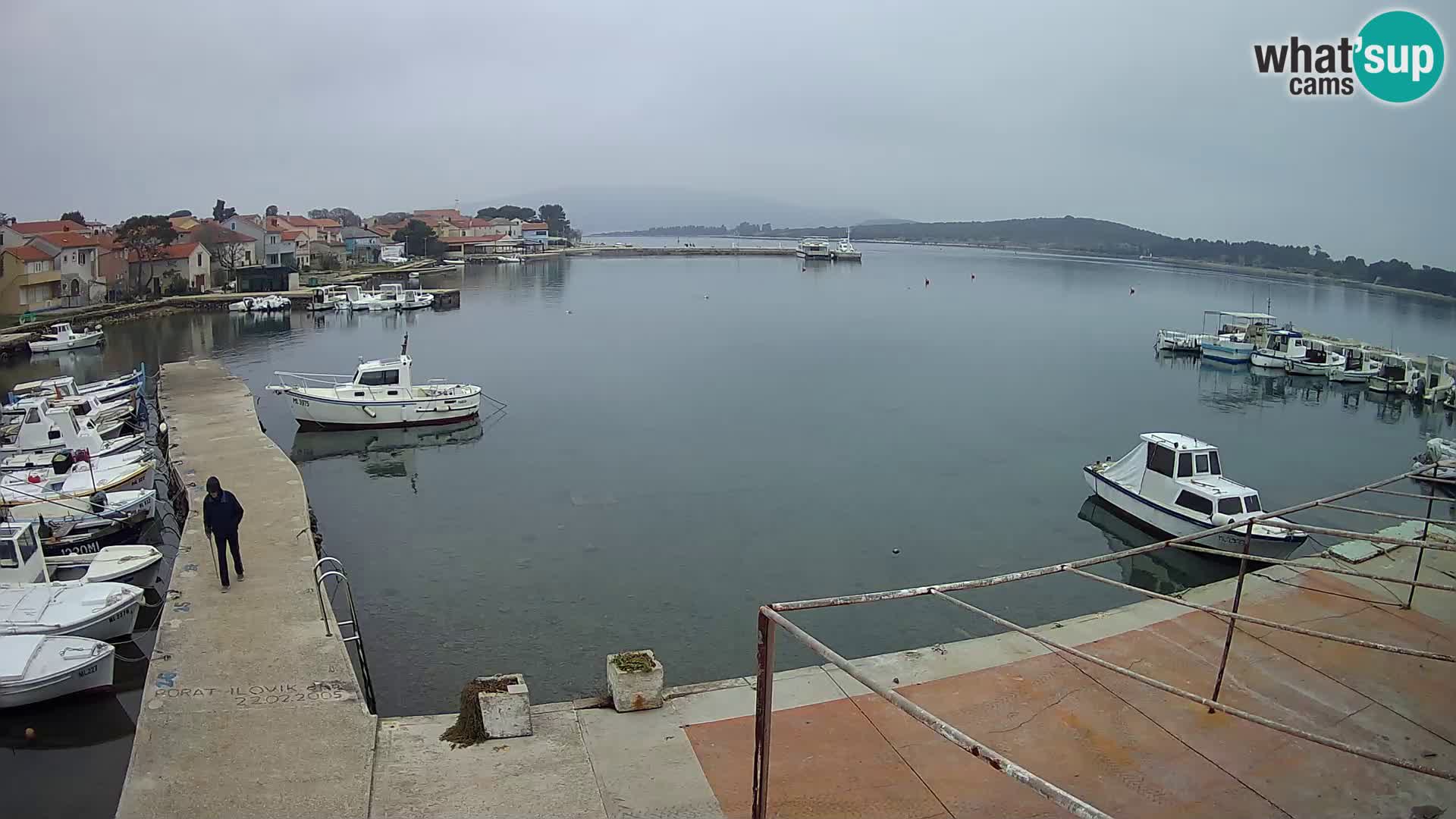 Camera en vivo Ilovik – Sveti Petar