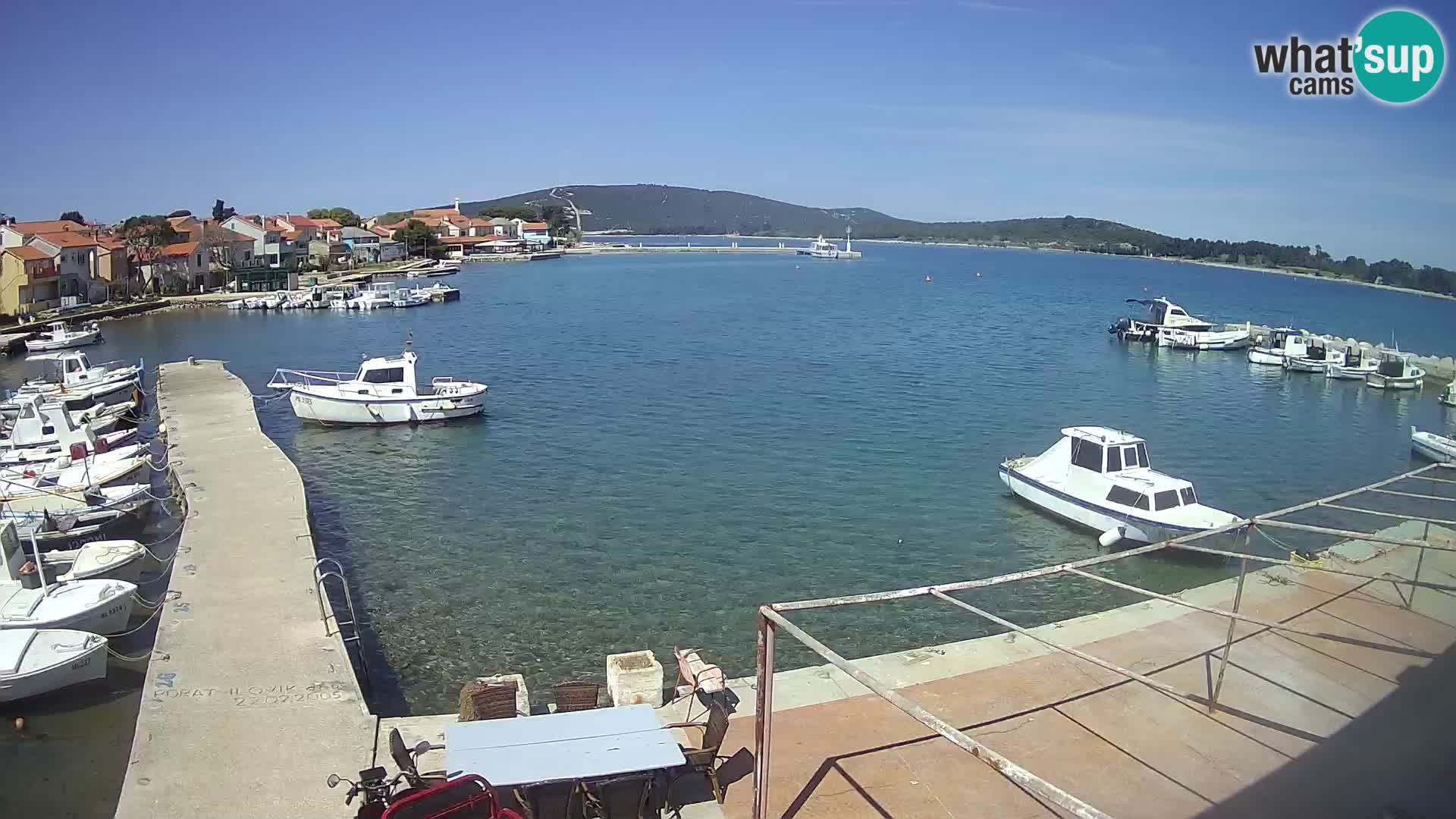Livecam Asinello – San Piero