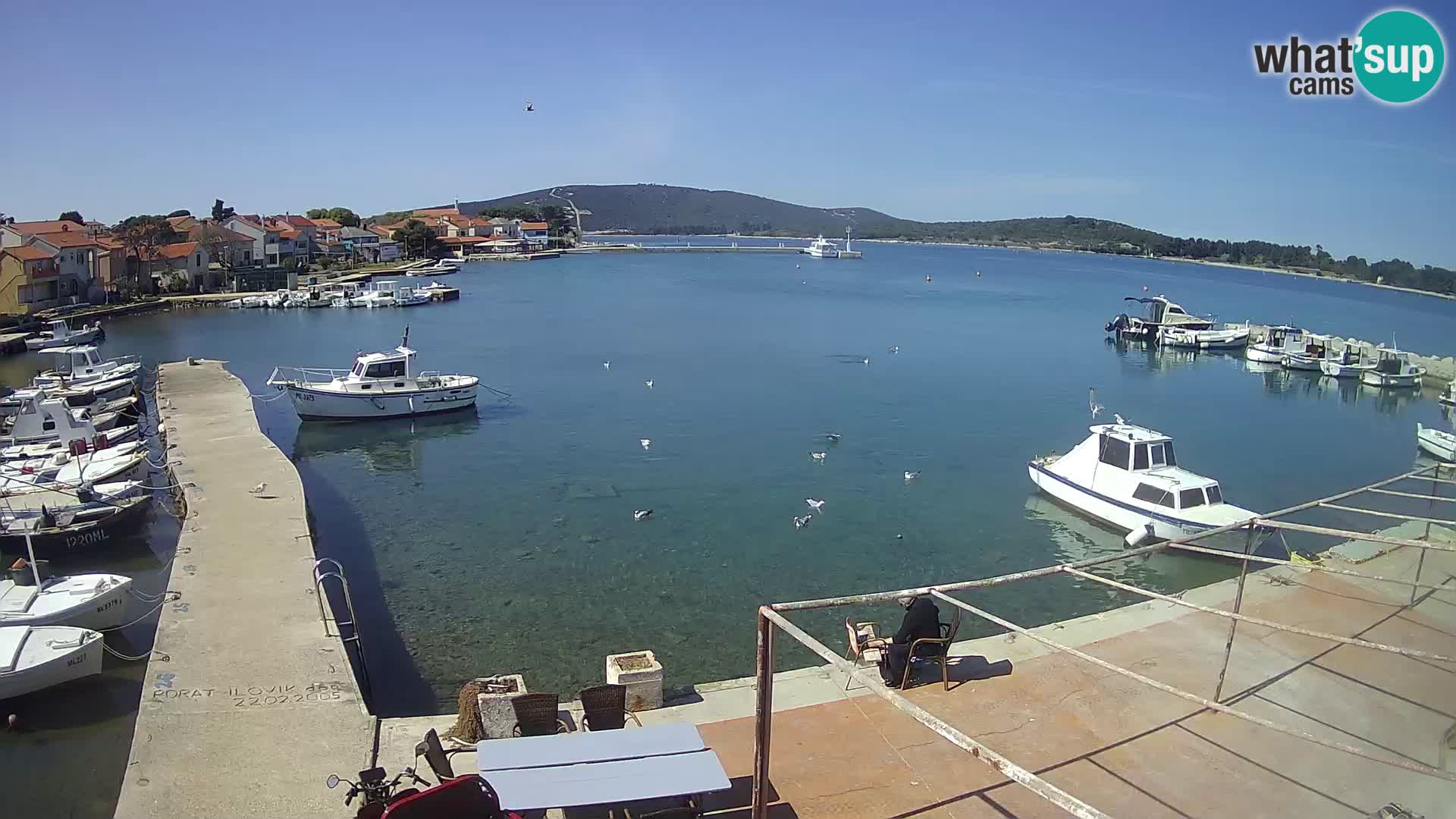 Webcam Ilovik – Sveti Petar – Kvarner