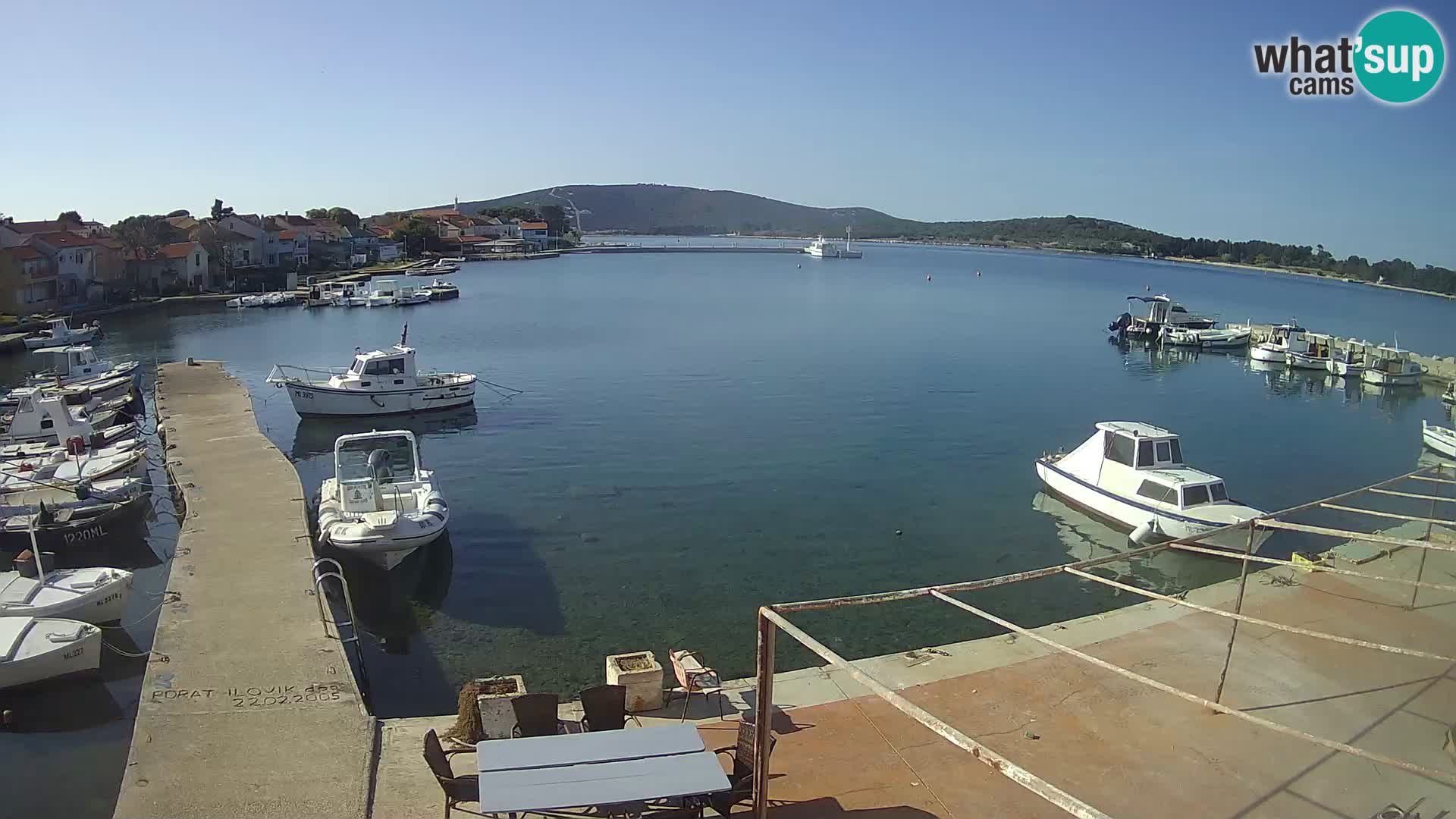 Camera en vivo Ilovik – Sveti Petar