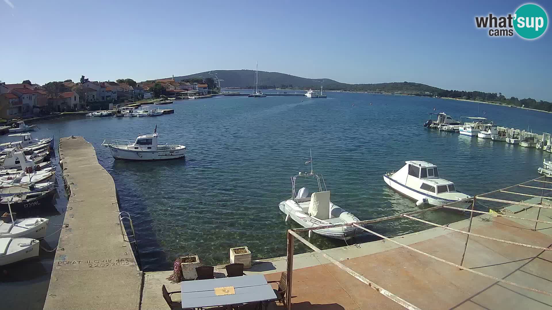 Livecam Asinello – San Piero