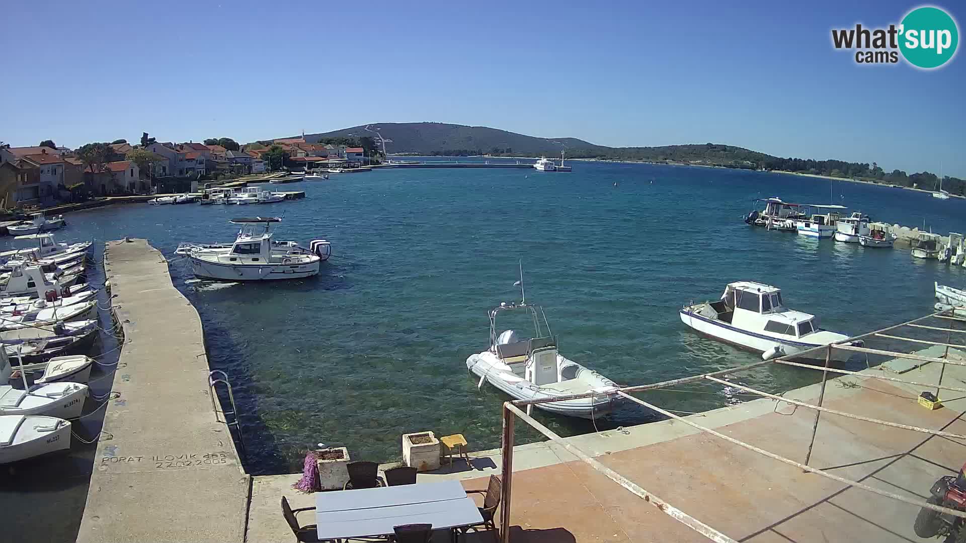 Livecam Asinello – San Piero