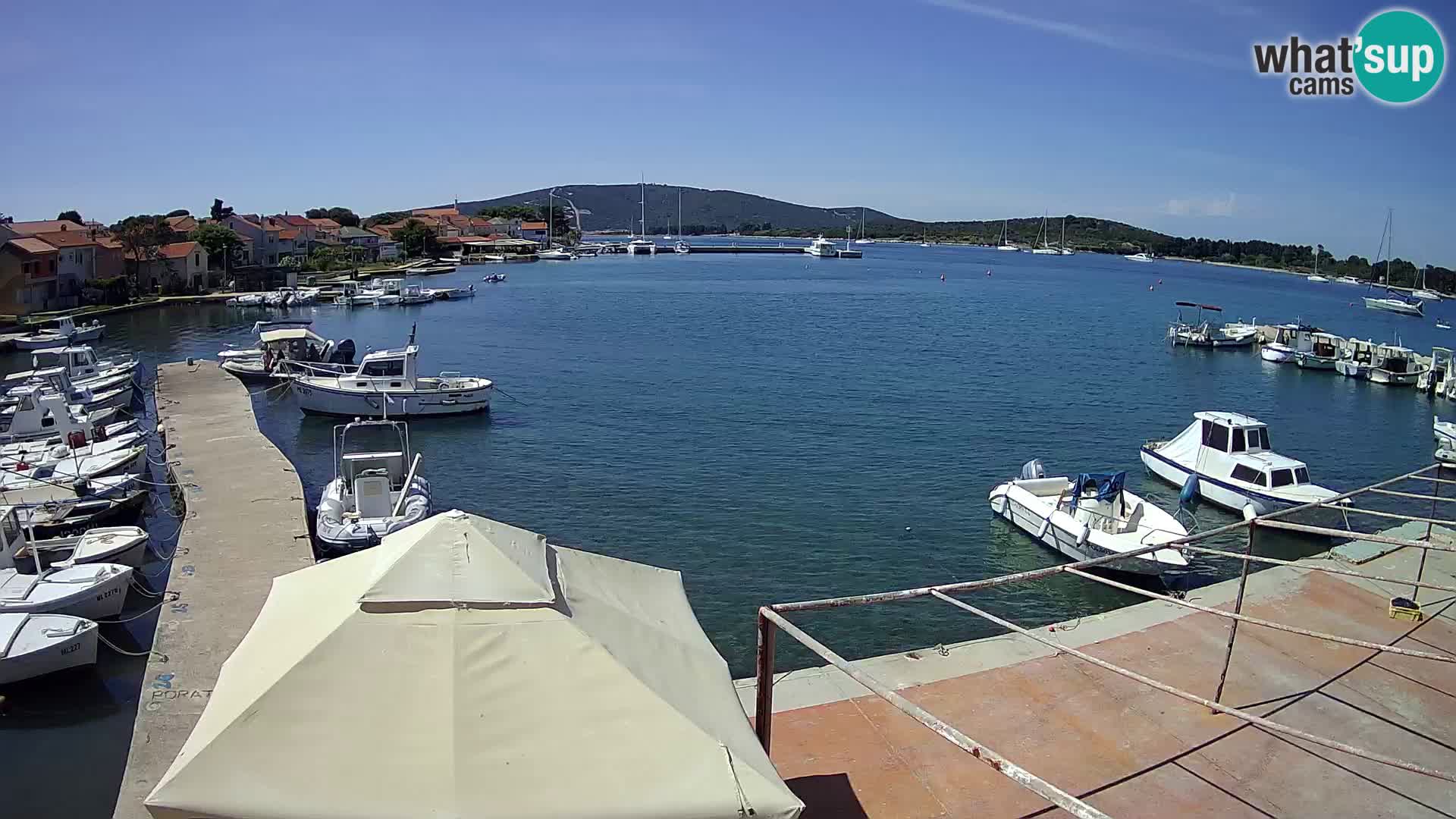 Livecam Asinello – San Piero