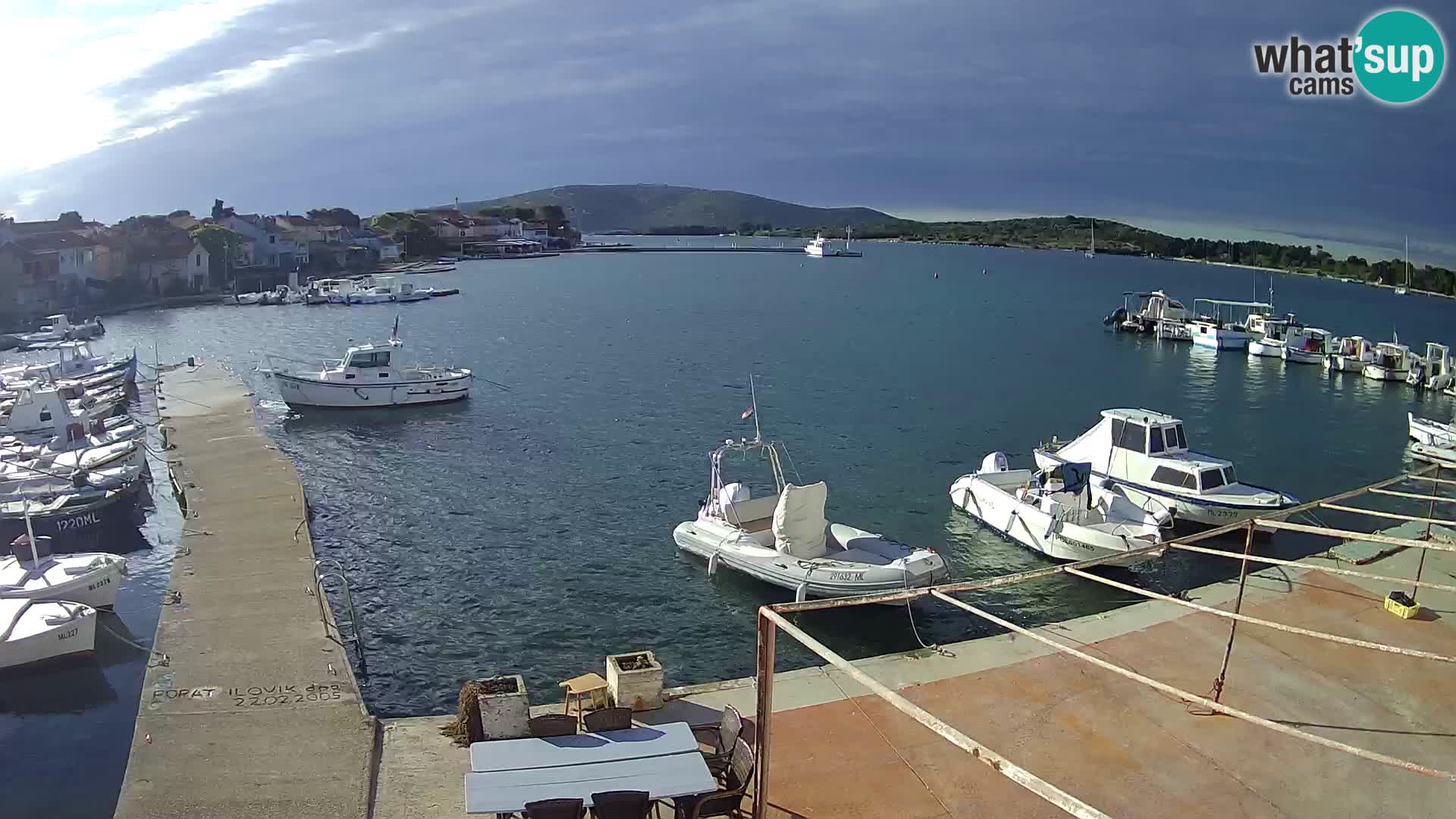Livecam Asinello – San Piero