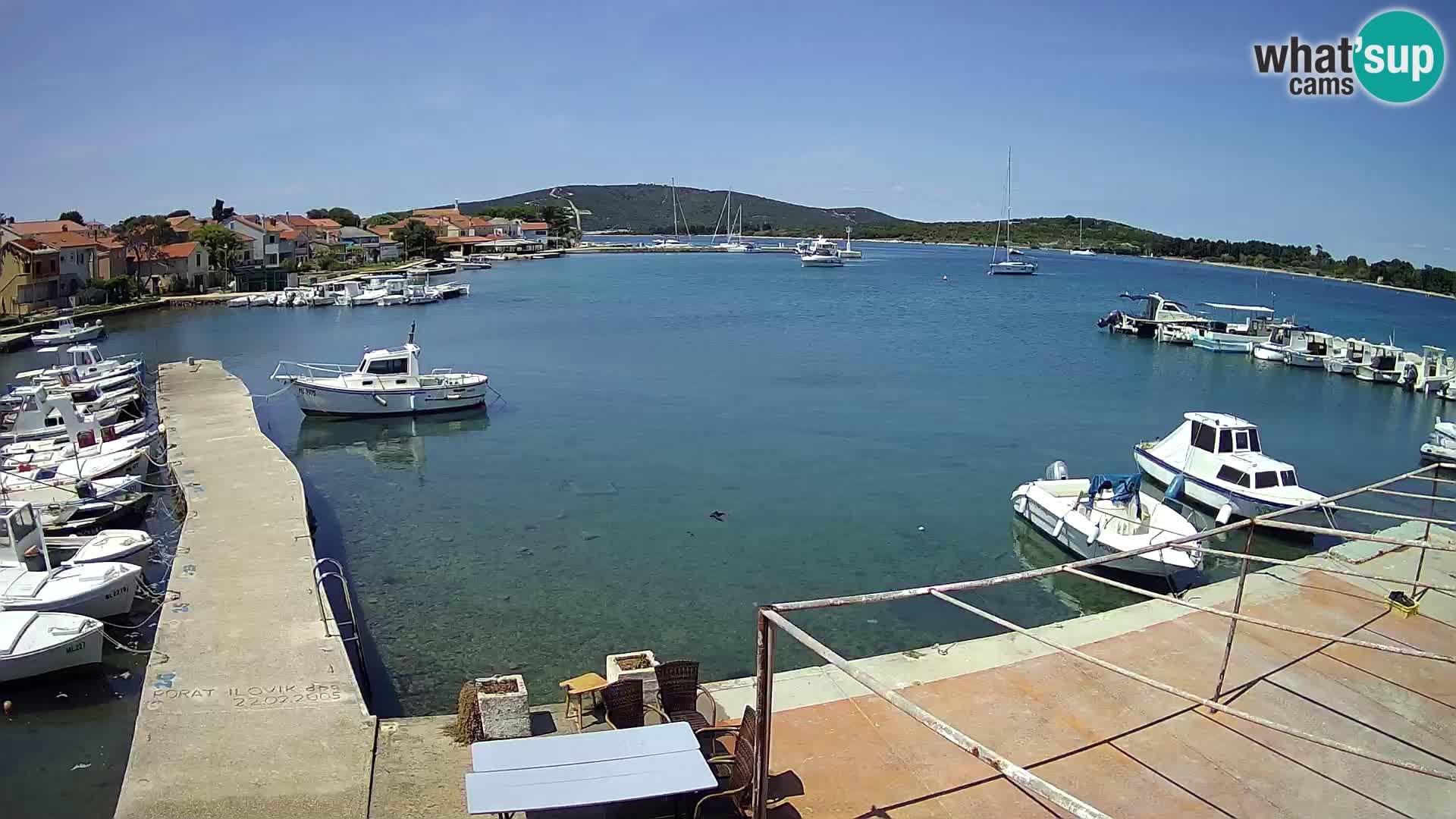 Livecam Asinello – San Piero