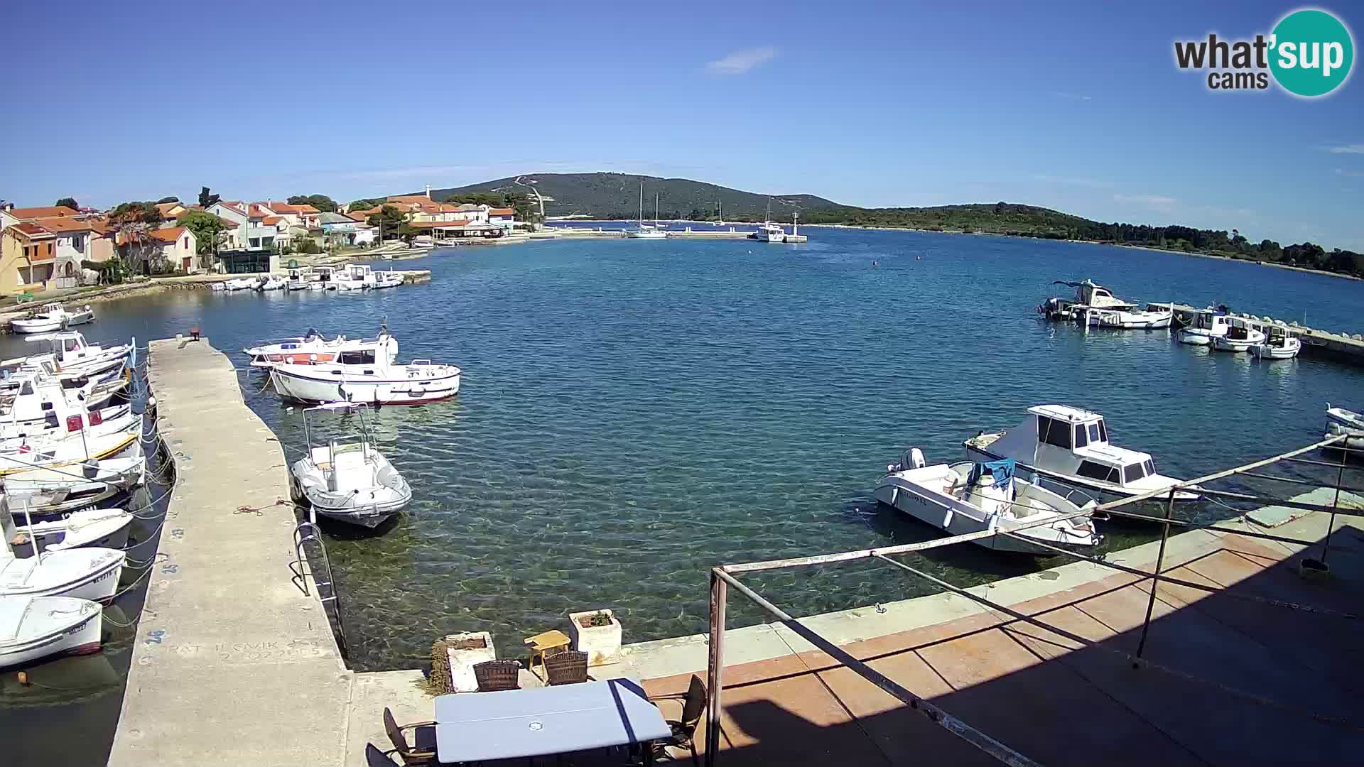Livecam Asinello – San Piero