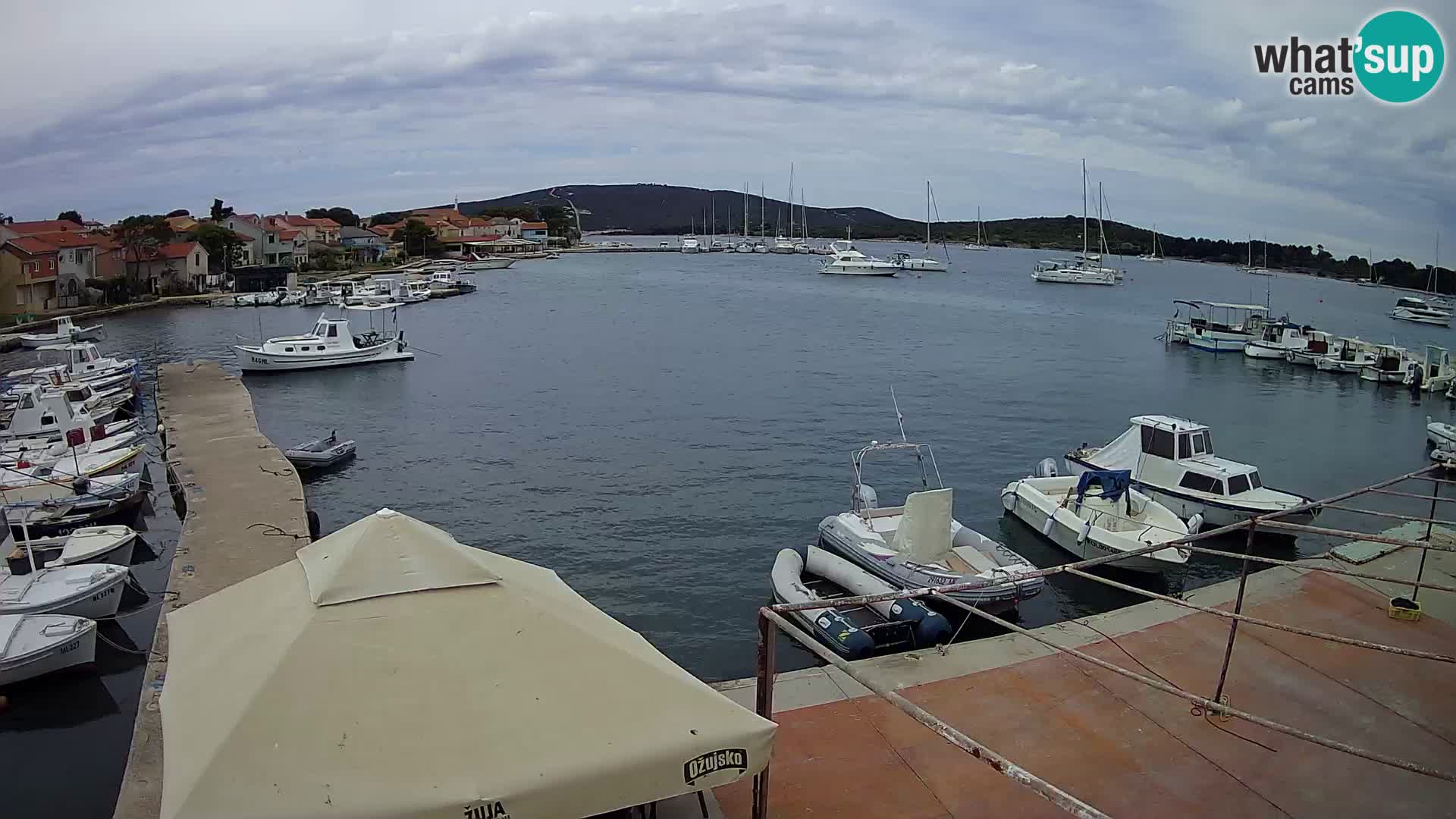 Livecam Asinello – San Piero