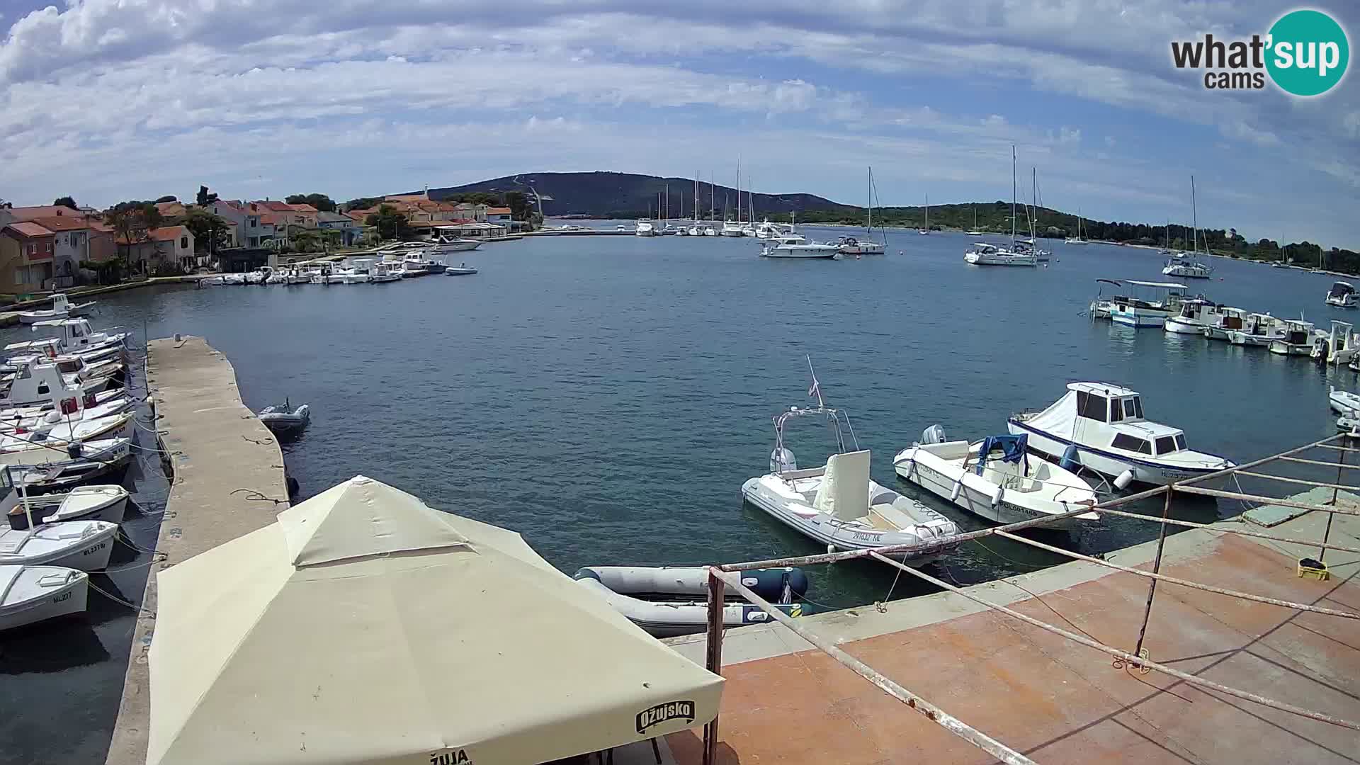 Livecam Asinello – San Piero