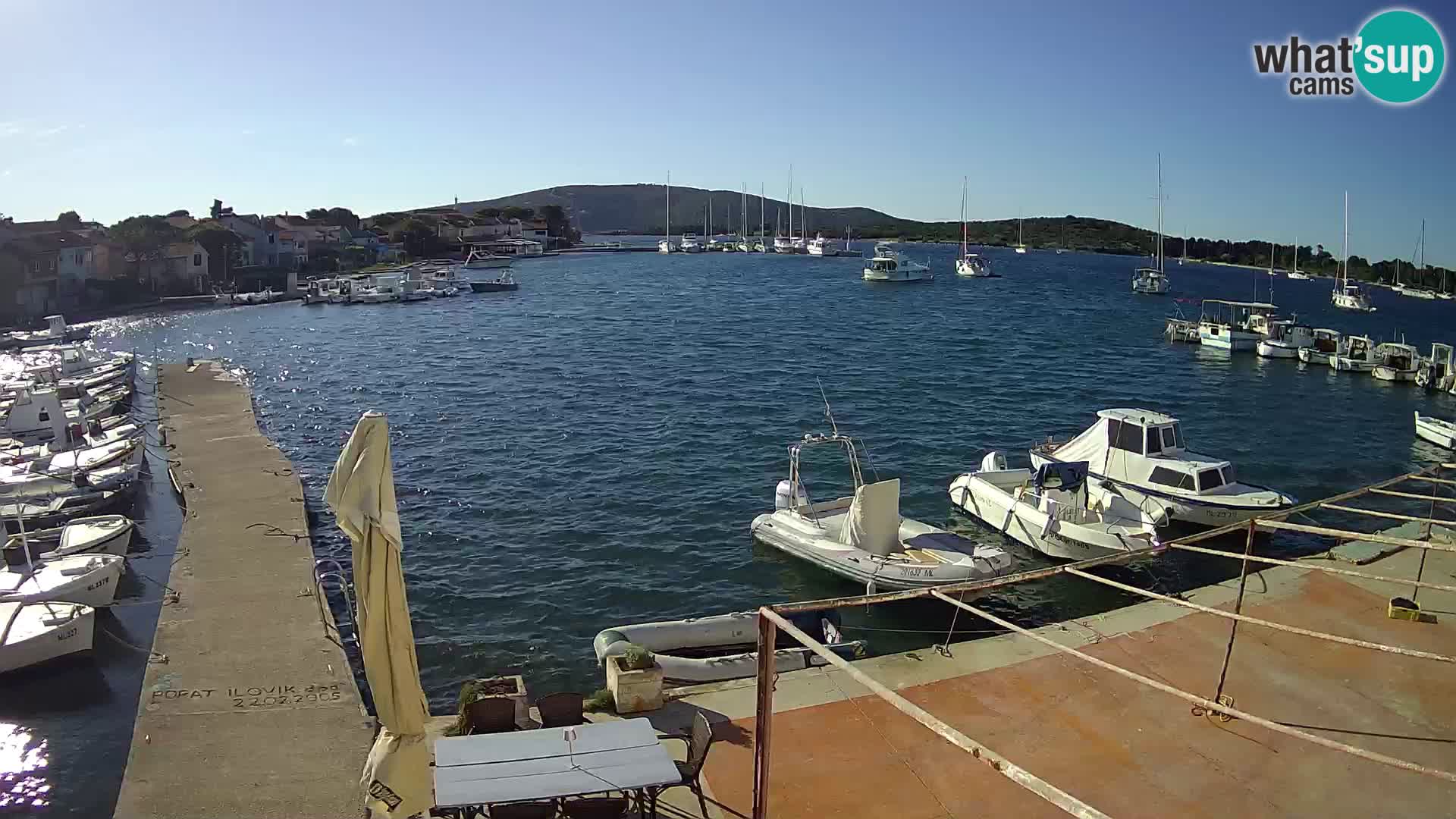 Livecam Asinello – San Piero