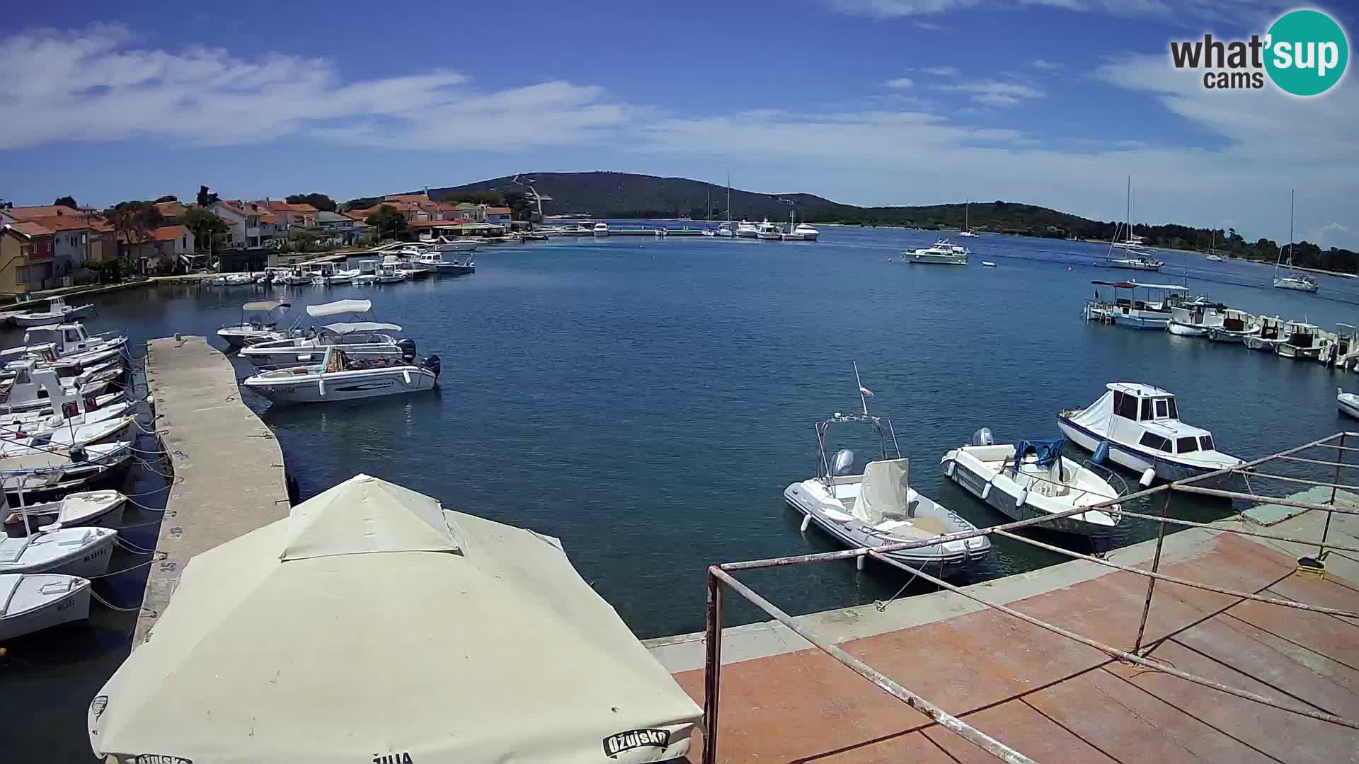 Camera en vivo Ilovik – Sveti Petar