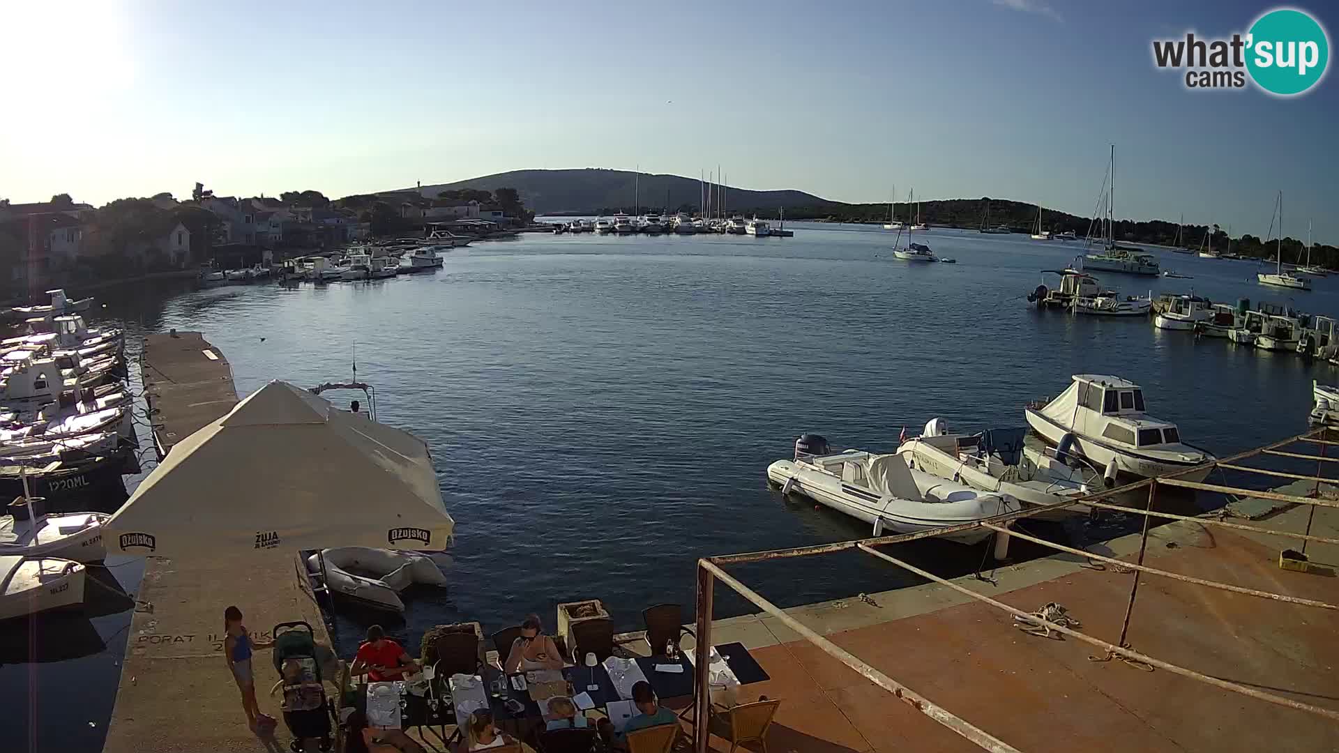 Livecam Asinello – San Piero