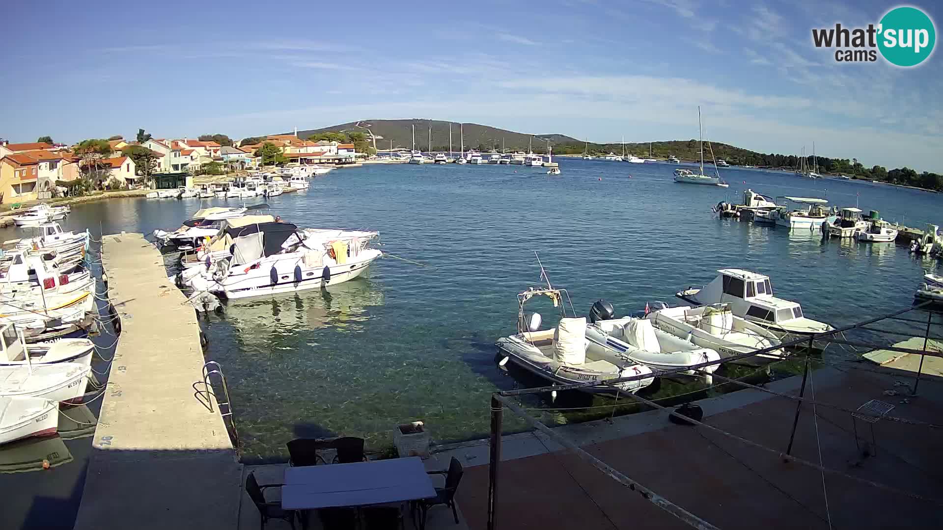 Livecam Asinello – San Piero