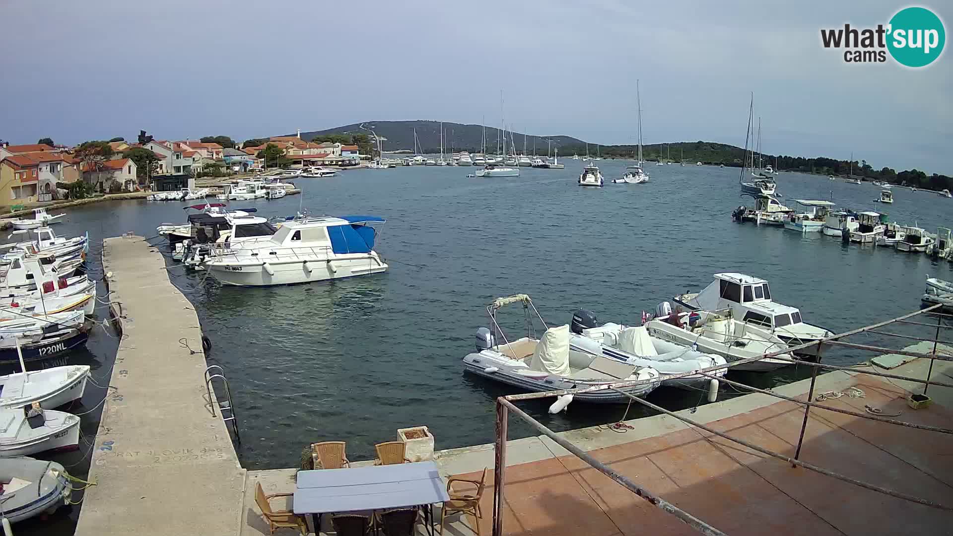Livecam Asinello – San Piero