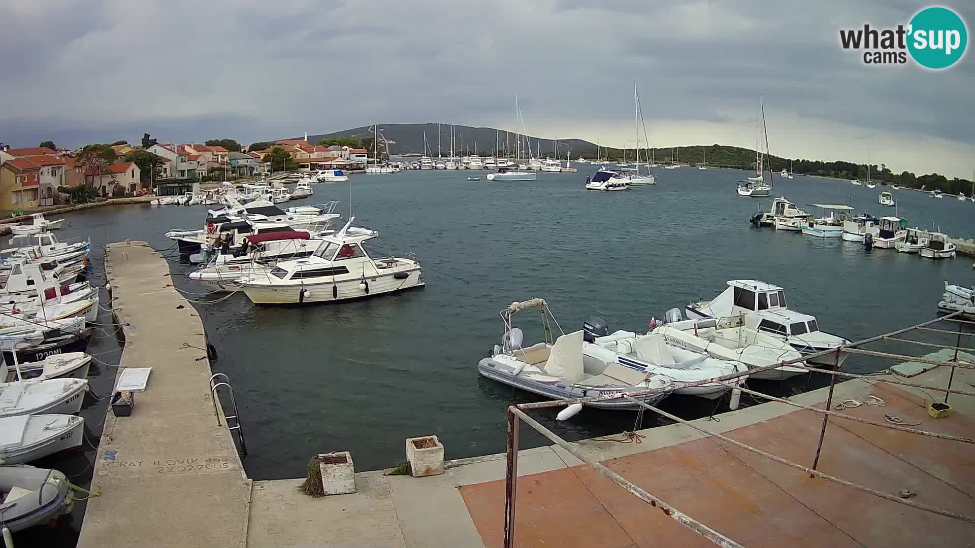 Camera en vivo Ilovik – Sveti Petar