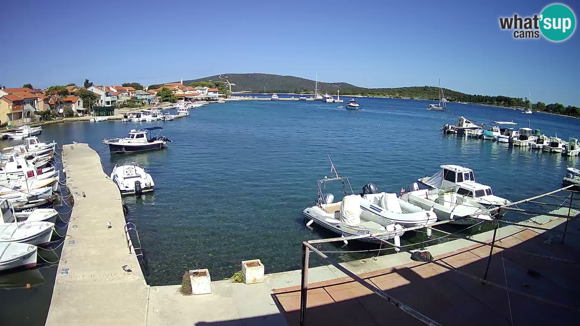Webcam Ilovik – Sveti Petar – Kvarner