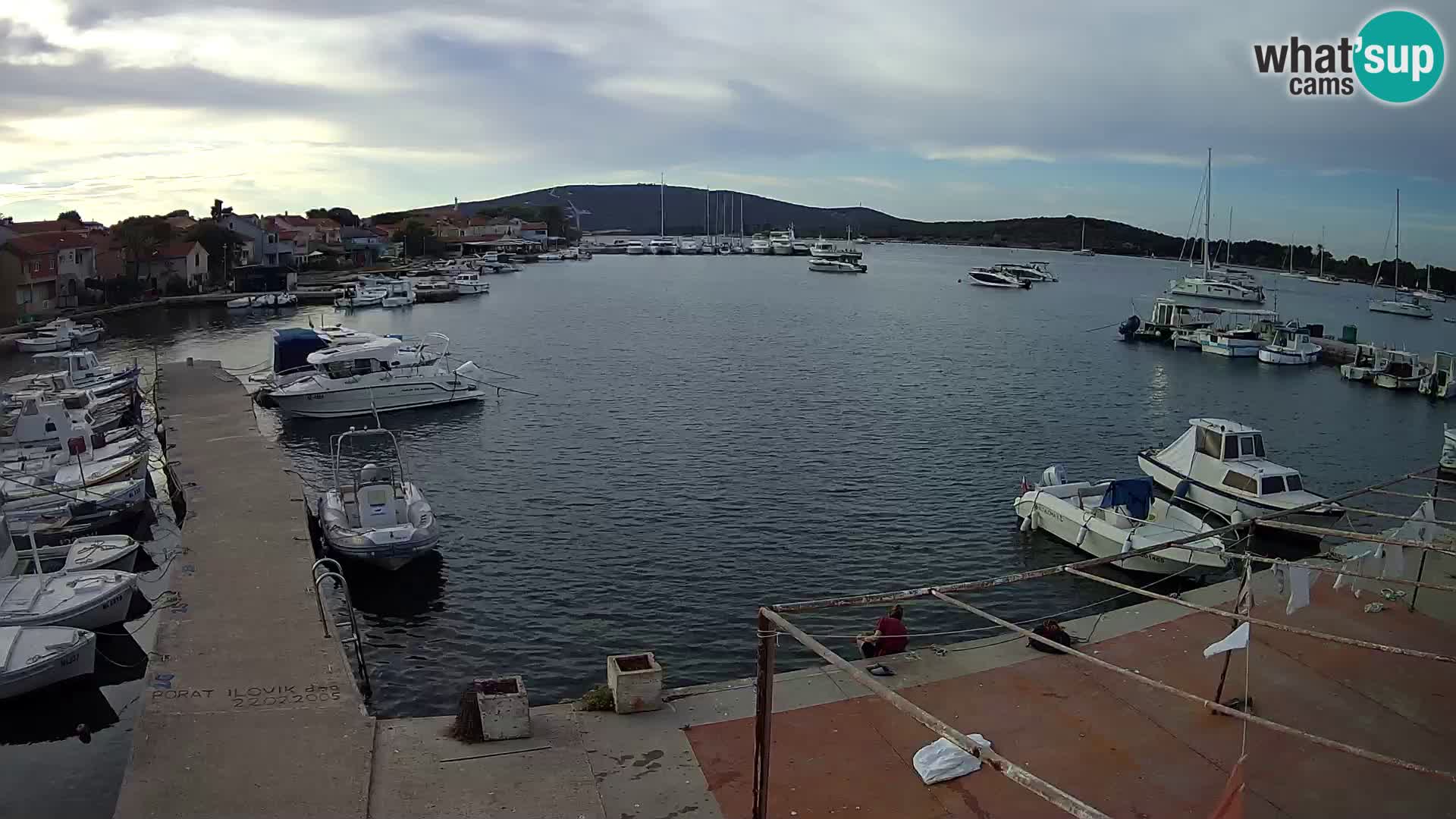 Livecam Asinello – San Piero