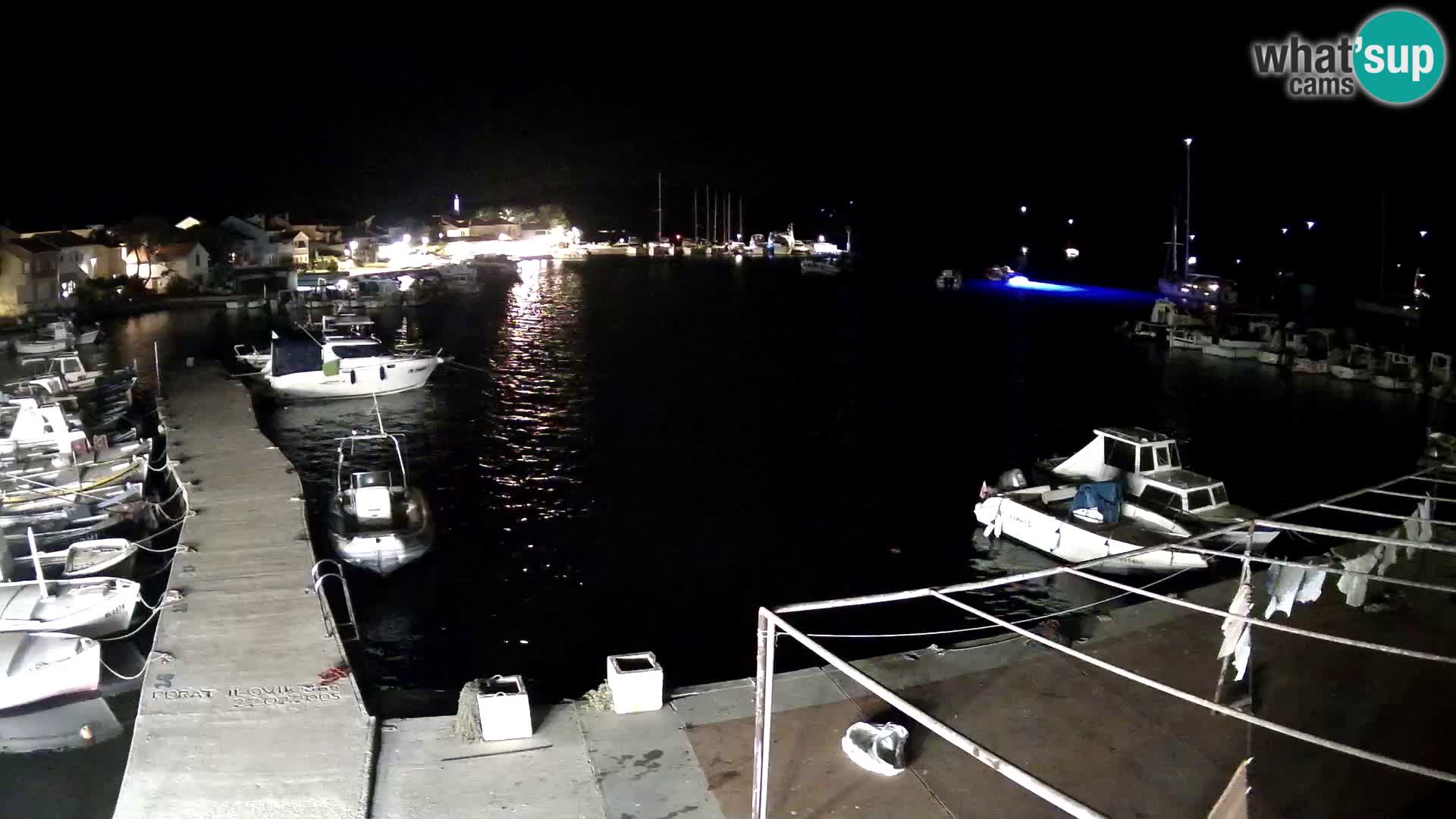 Livecam Asinello – San Piero