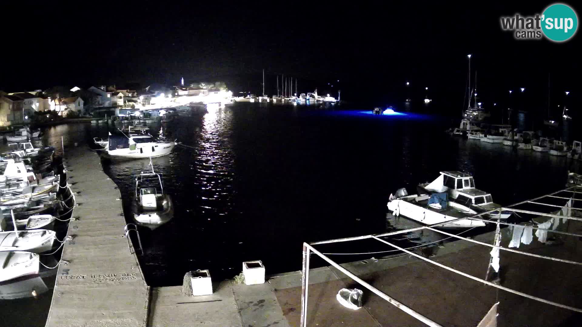 Livecam Asinello – San Piero