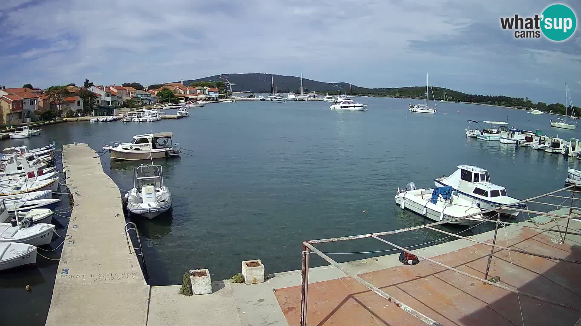 Camera en vivo Ilovik – Sveti Petar