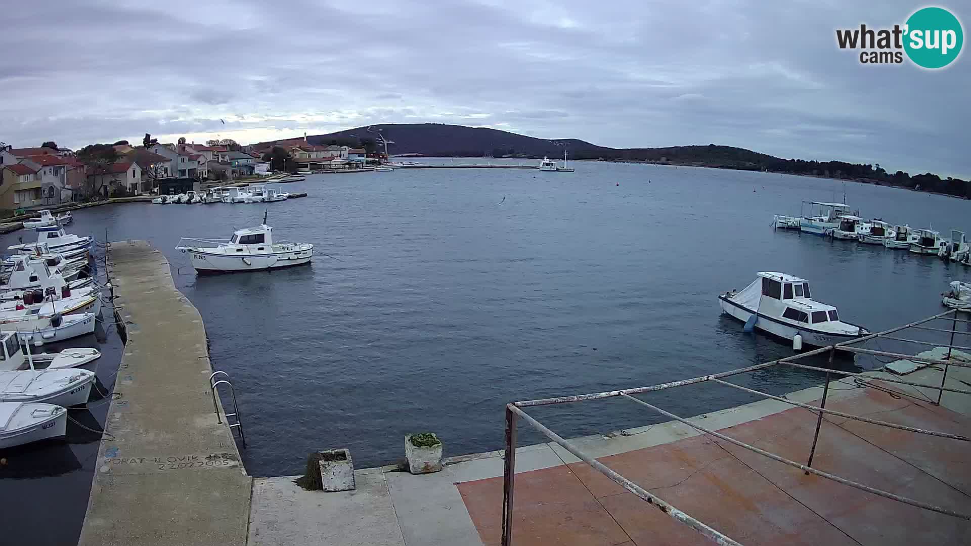 Web camera - Ilovik (Ilovik)