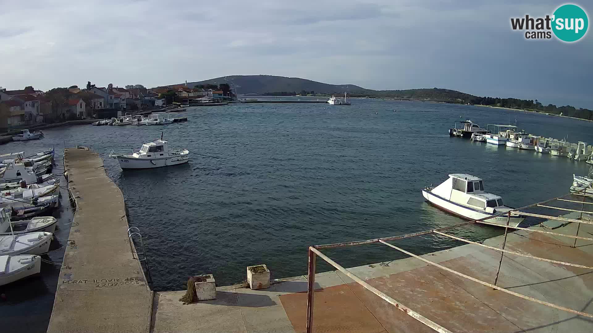 Web kamera - Ilovik (Ilovik)