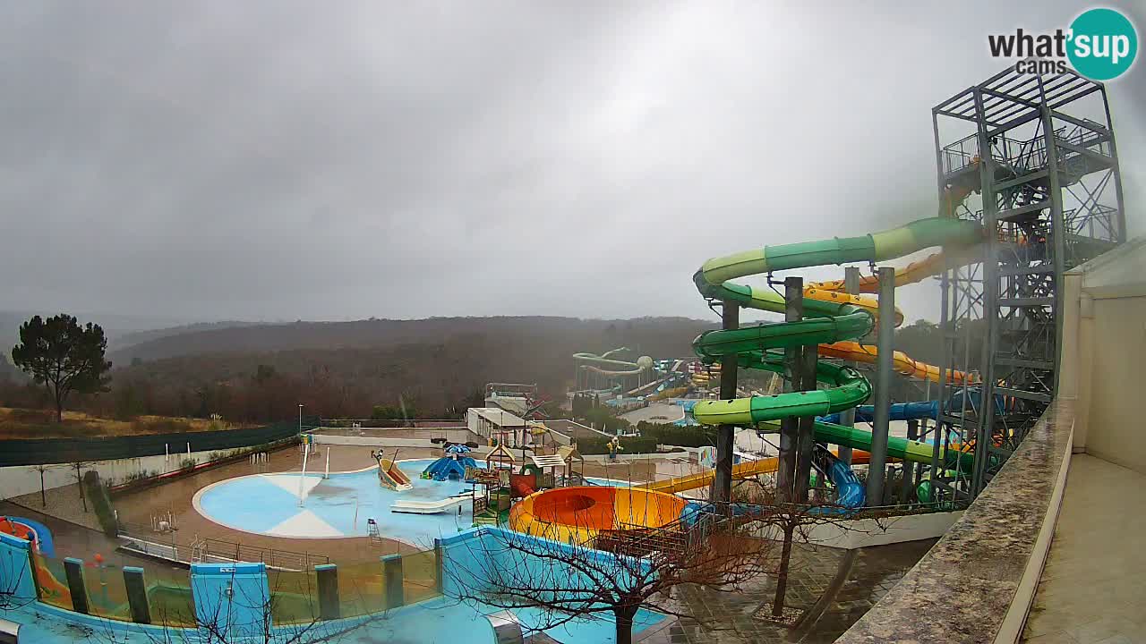 Kamera na żywo - Istralandia