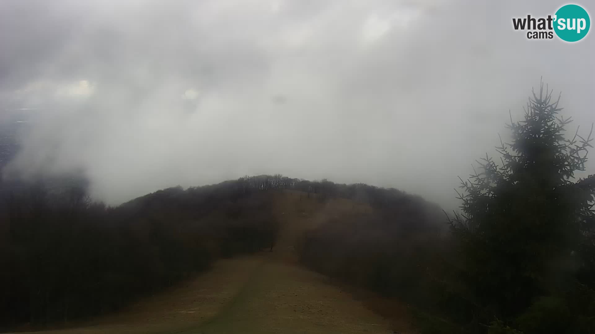 Kamera v živo Japetić – Jastrebarsko