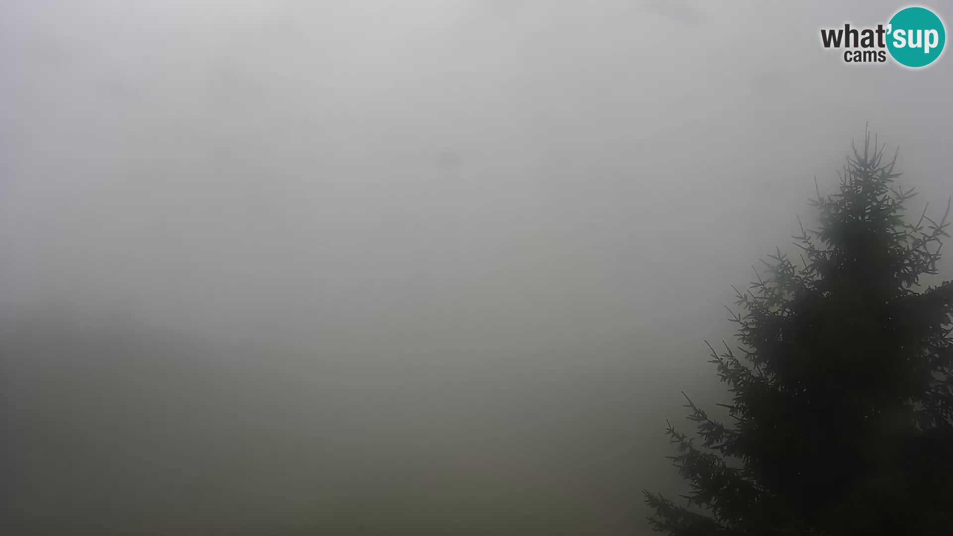 Kamera v živo Japetić – Jastrebarsko