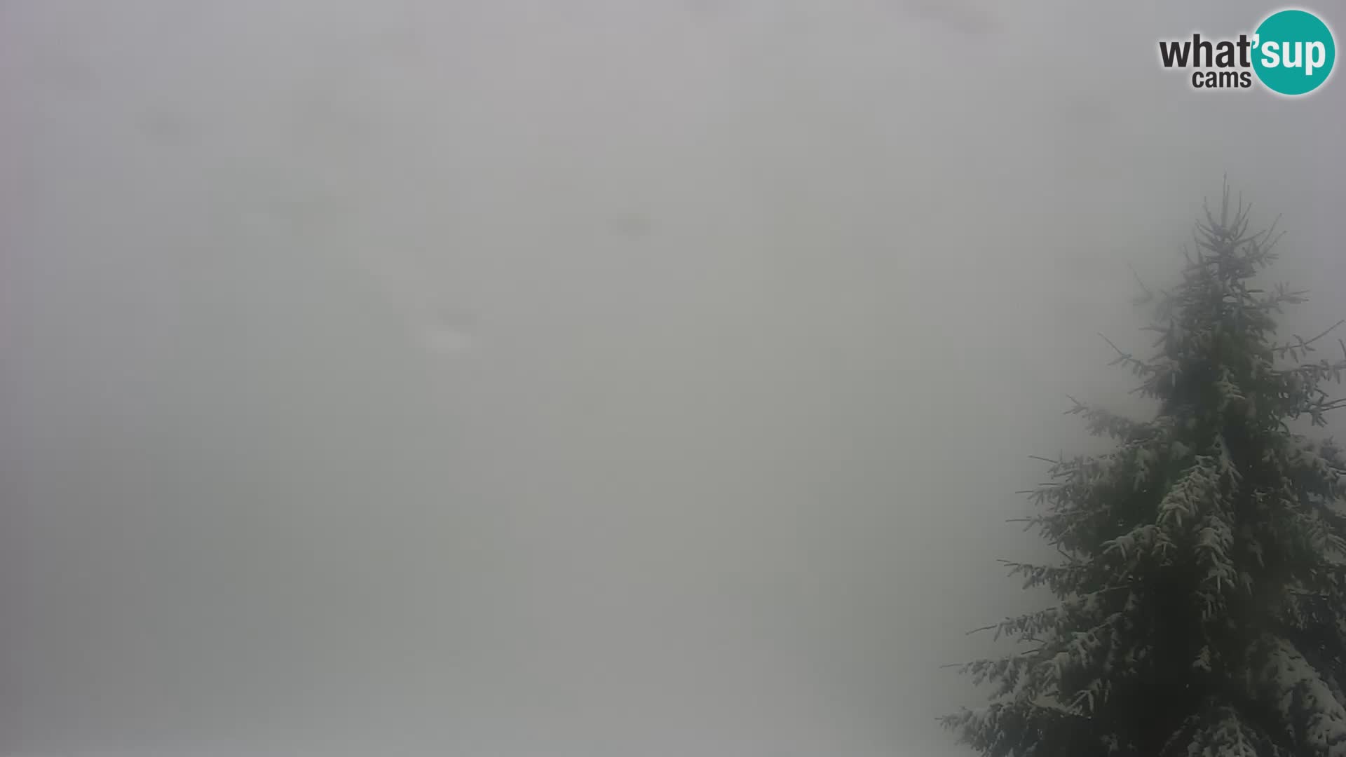 Camera en vivo Japetić – Jastrebarsko