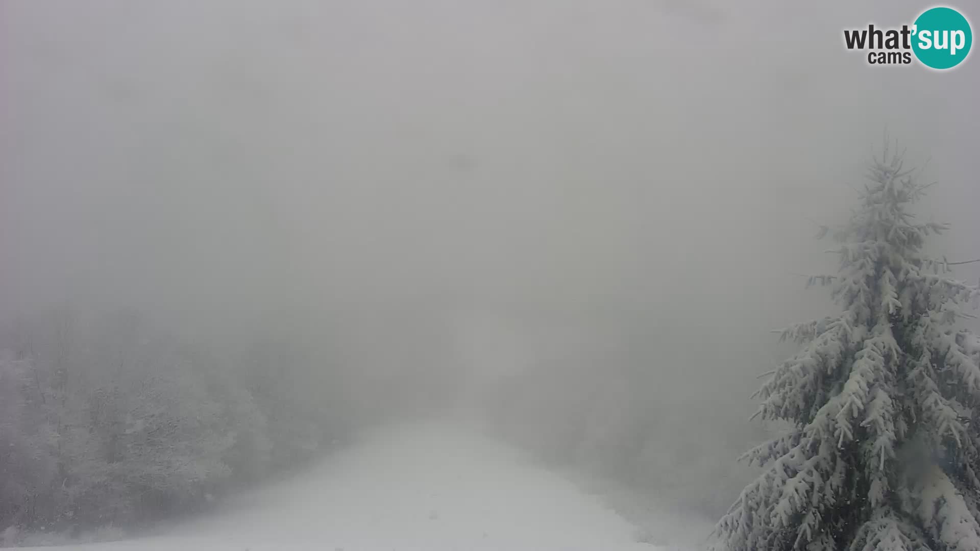 Live cam Japetić – Jastrebarsko