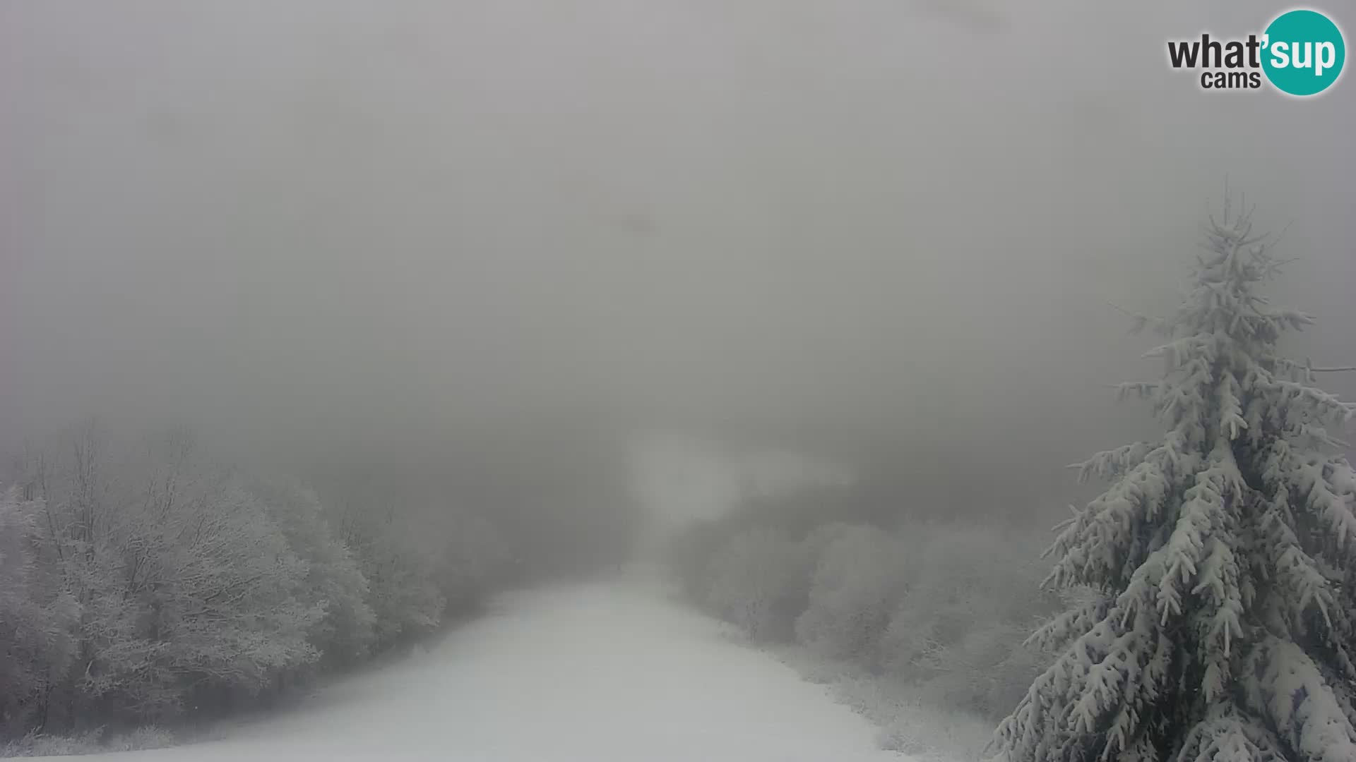 Live cam Japetić – Jastrebarsko