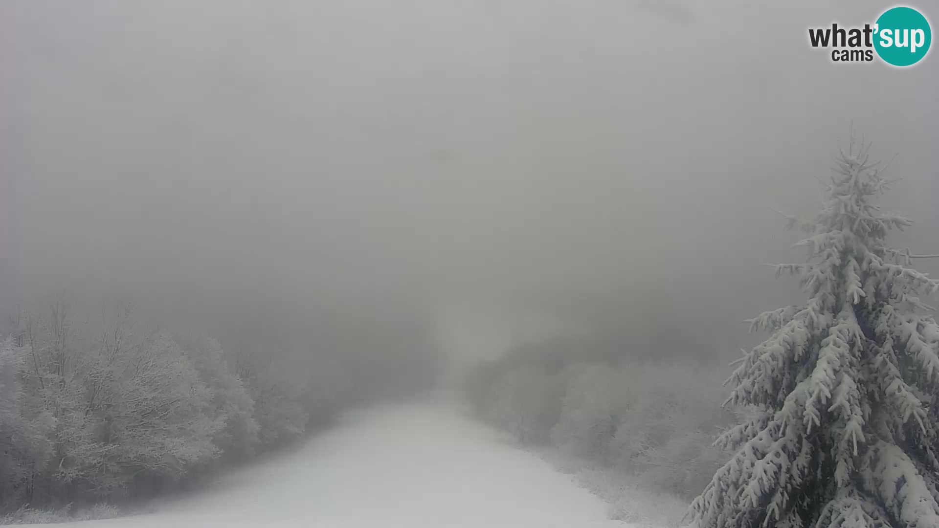 Webcam Japetić – Jastrebarsko